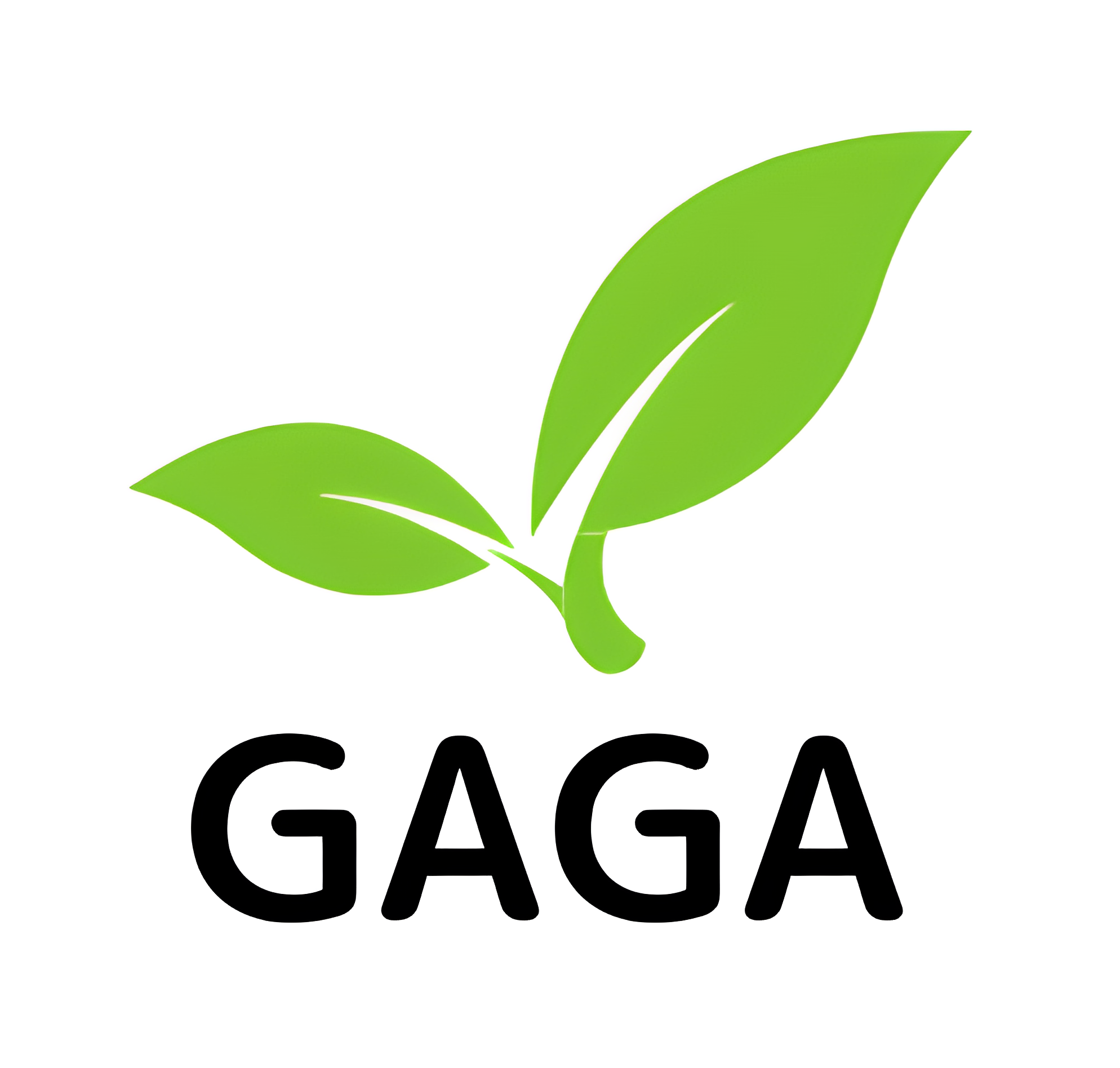 株式会社GAGA