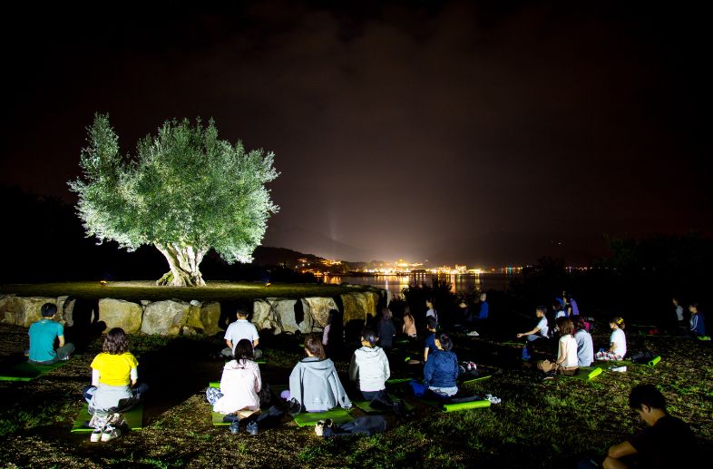 樹齢千年のオリーヴ大樹で宵禅