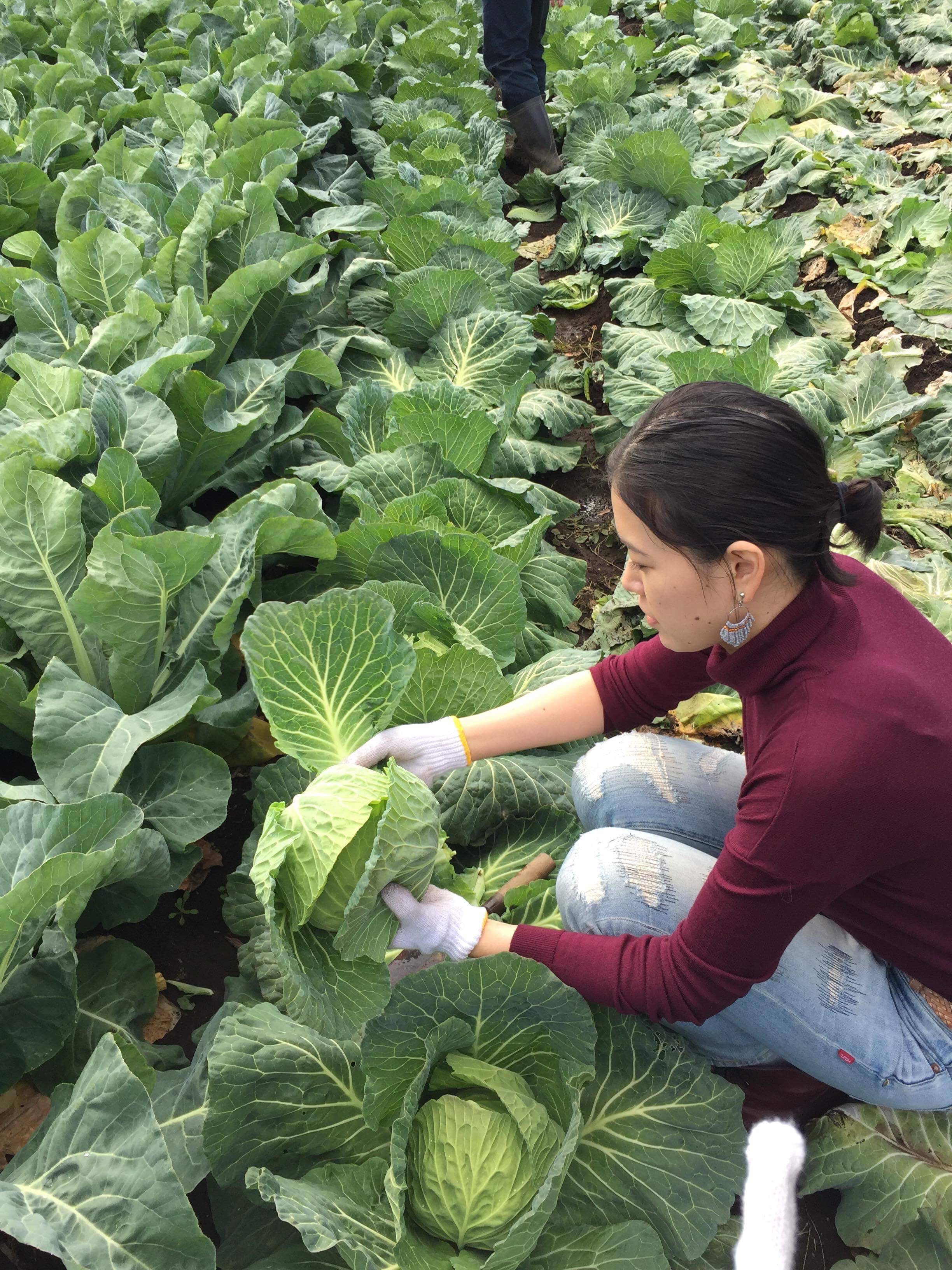 企画提案のネタ作りどうやってますか？農家さんでの収穫体験ワークショップをやったケース
