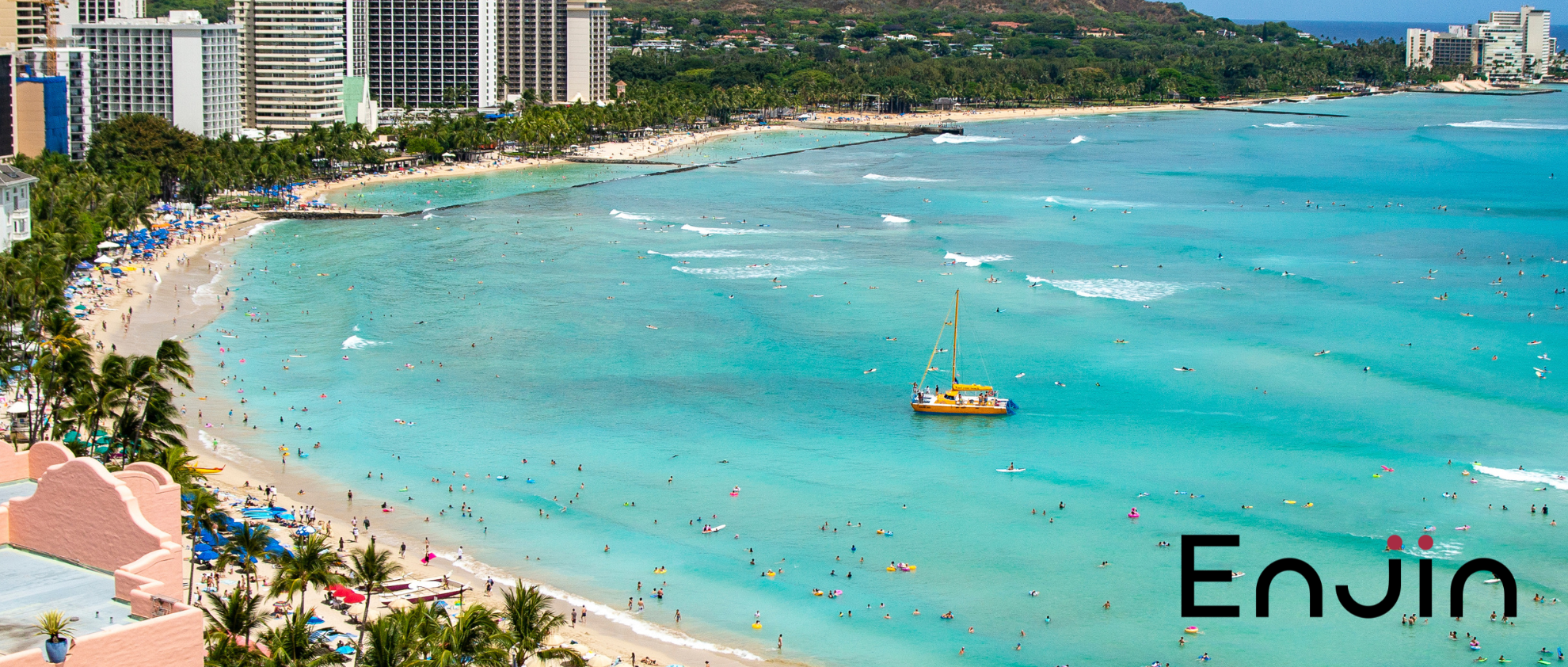 【オフィス紹介】Enjinの会議室をご紹介！ハワイの自然が息づく空間
