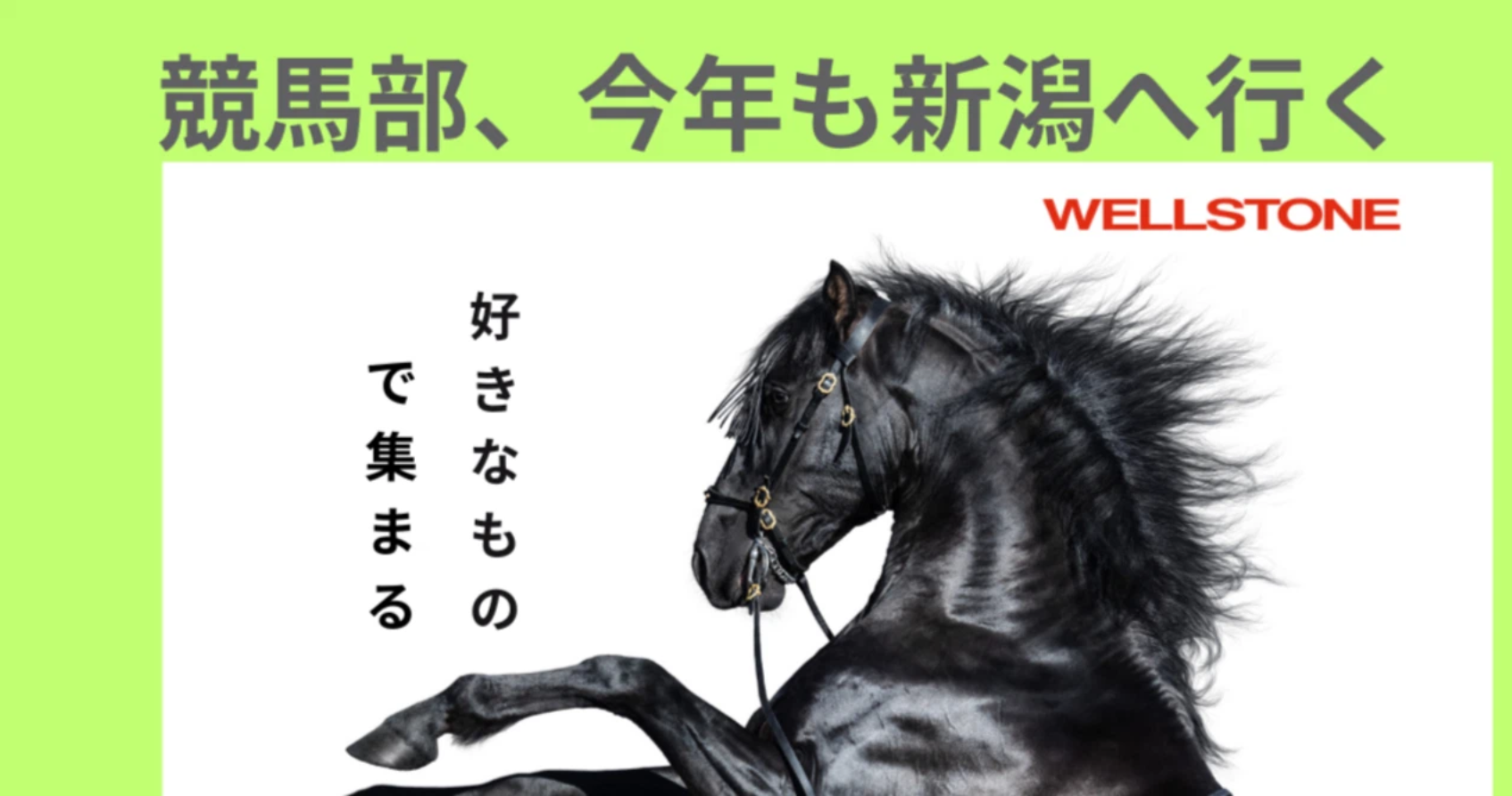 競馬部、今年も新潟へ行く