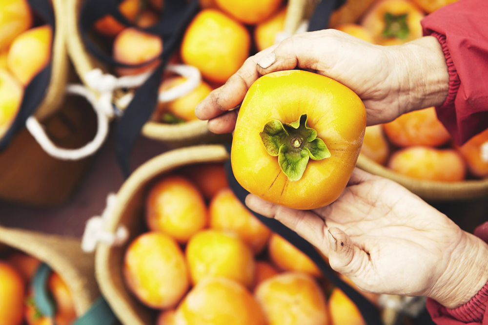 ひとつの柿農家から始まった「堀内果実園」