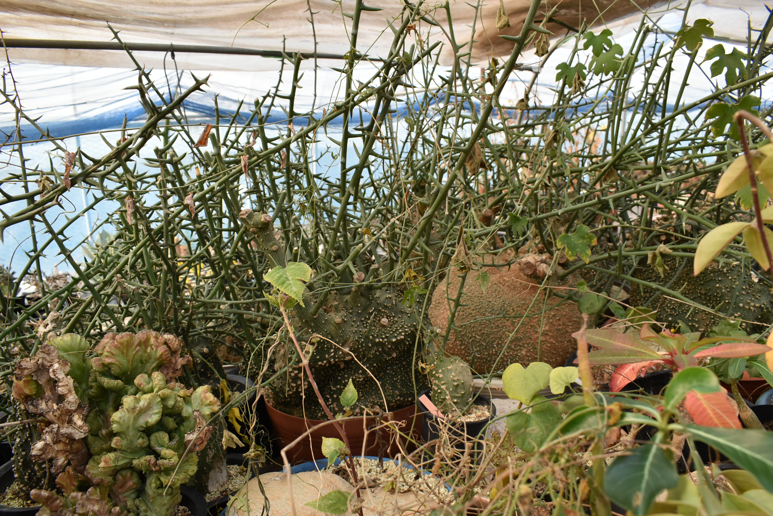 Wantedlyに書くようなことはなにもない