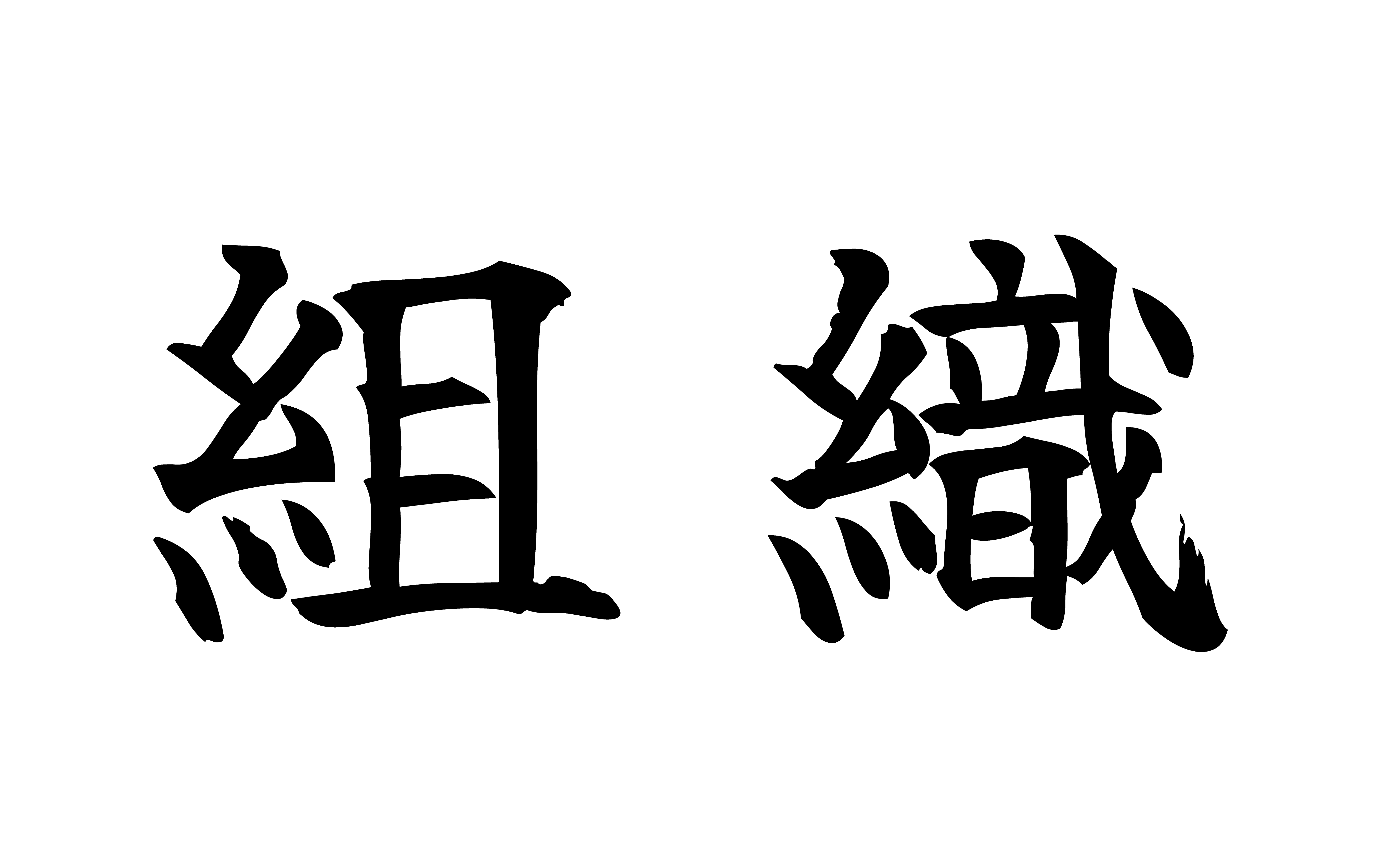 CAVIN流「仲間」
