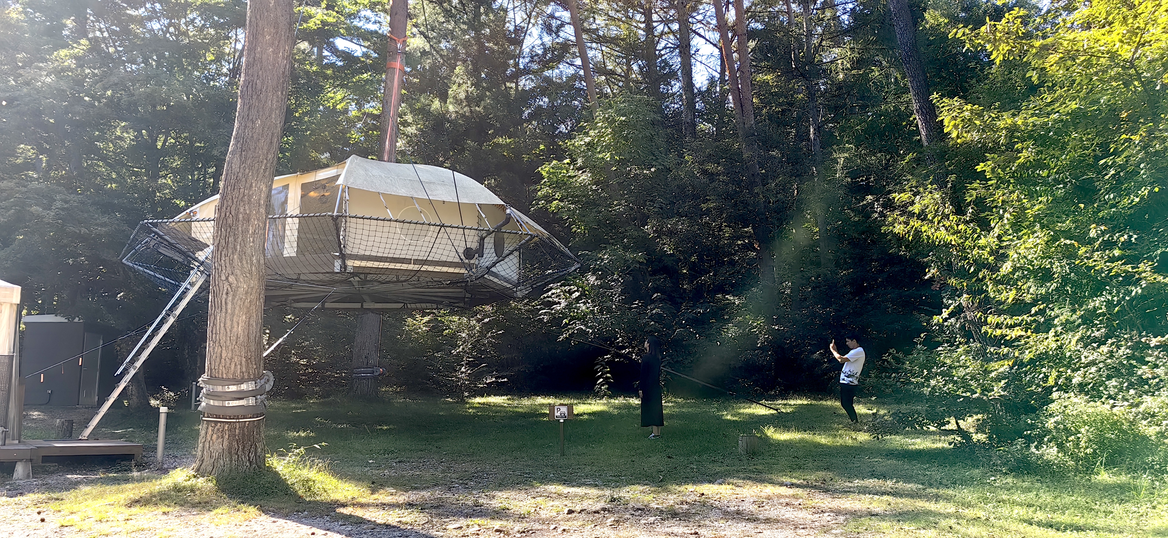 長野県松川町の魅力満載！ツリードーム宿泊＆りんご果樹園ディナー