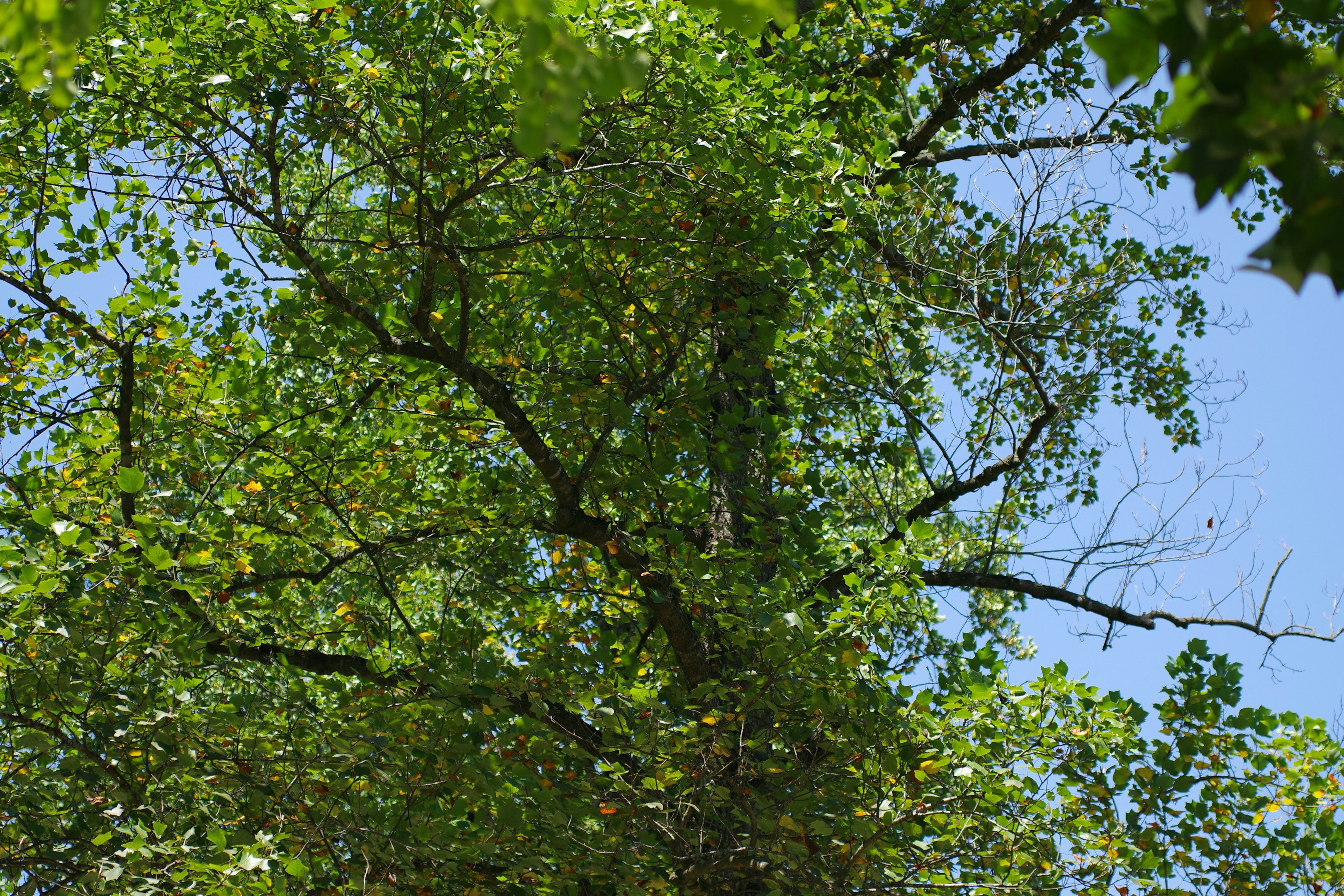 信用金庫に勤める君へ