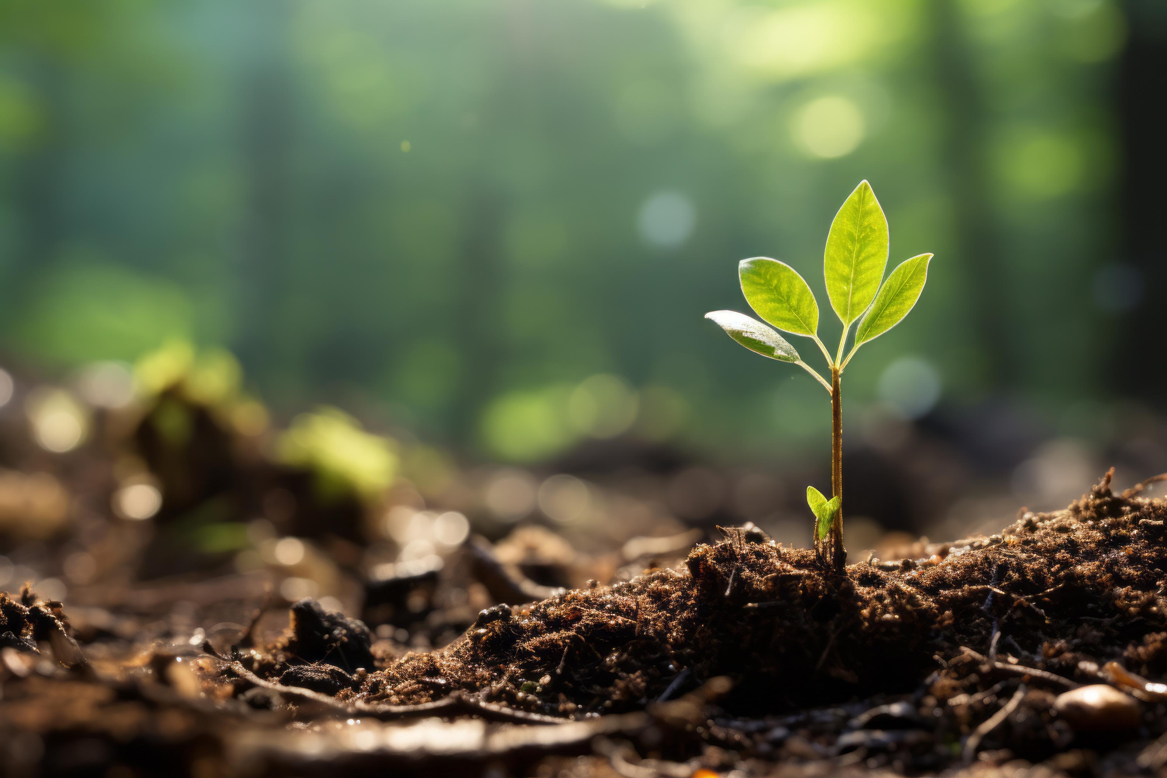 日本一教育熱心な行政書士事務所を目指して