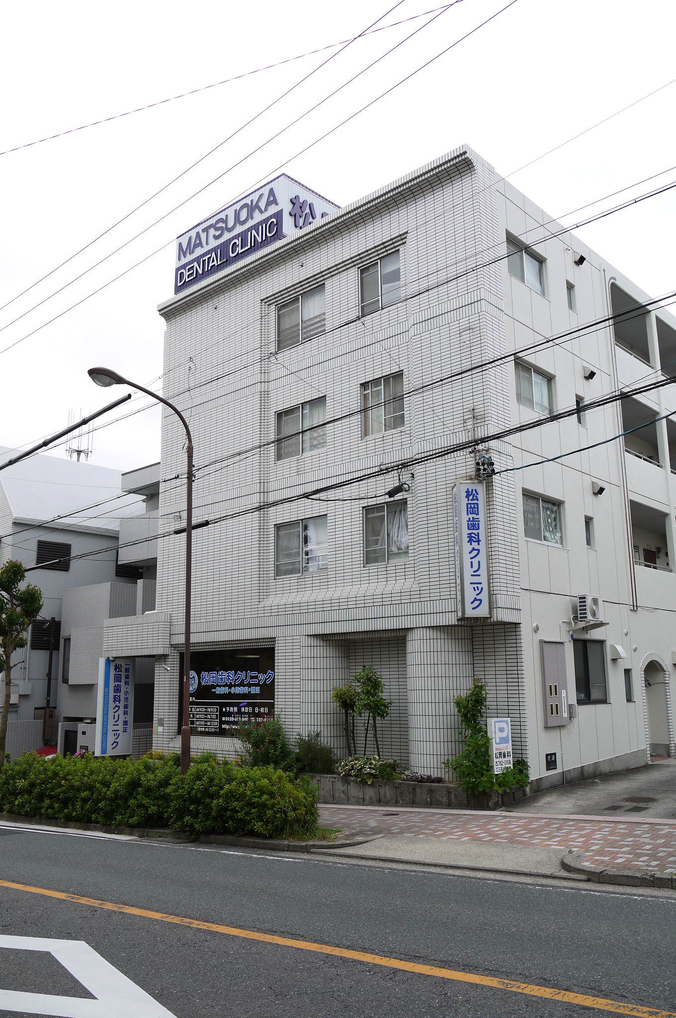 経歴