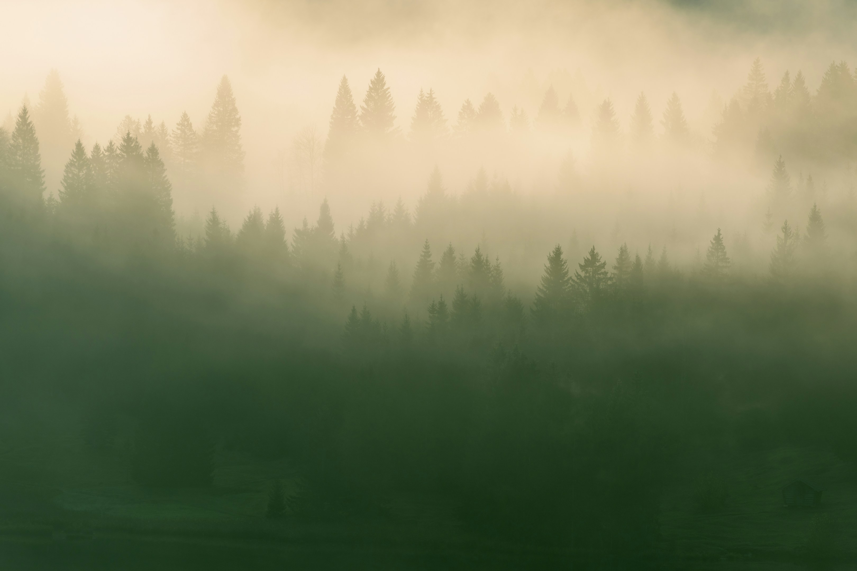 過去からの歩み