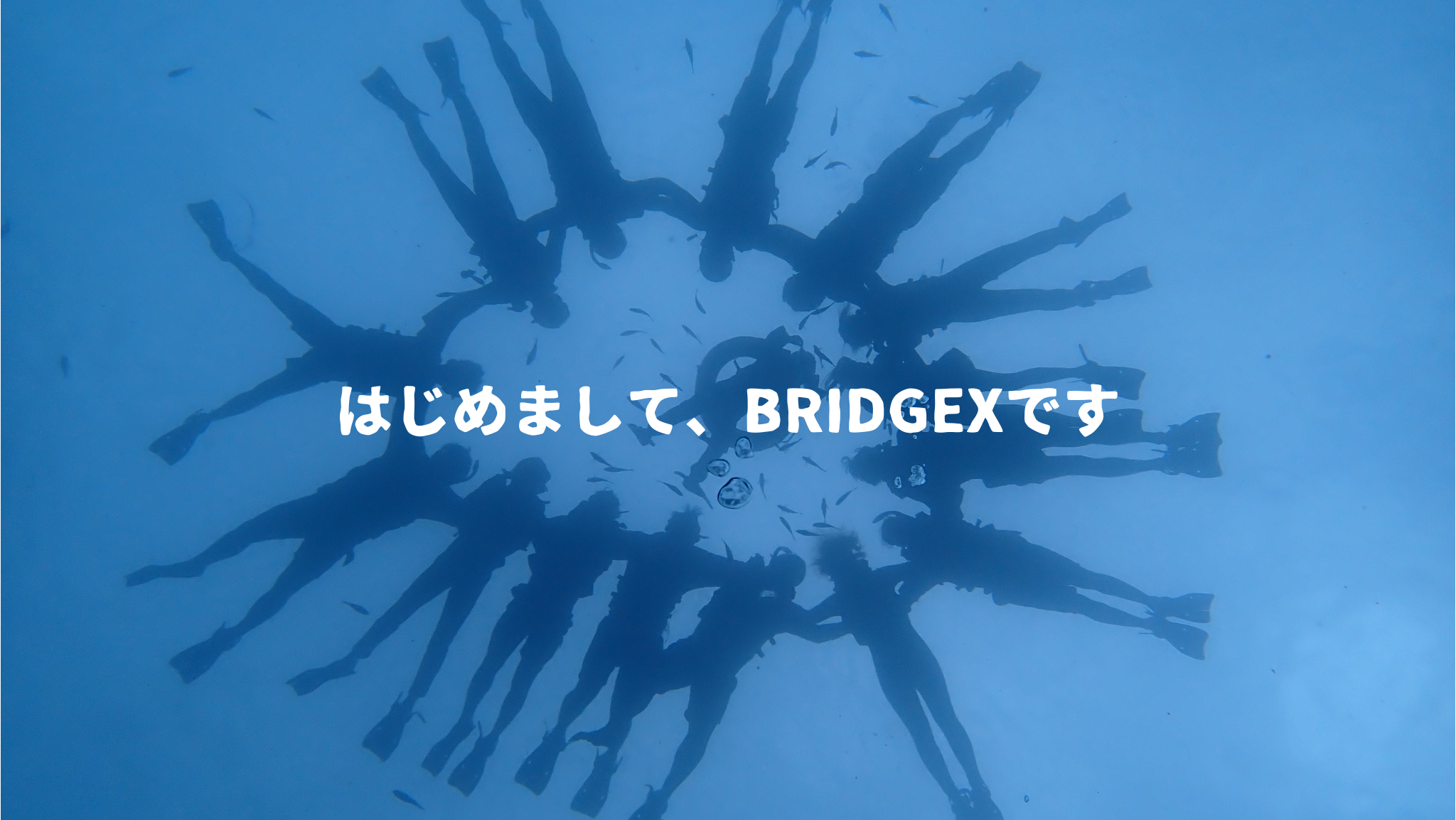 はじめまして、BRIDGEXです