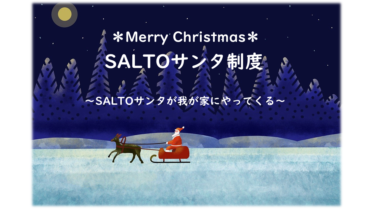 SALTOサンタ制度