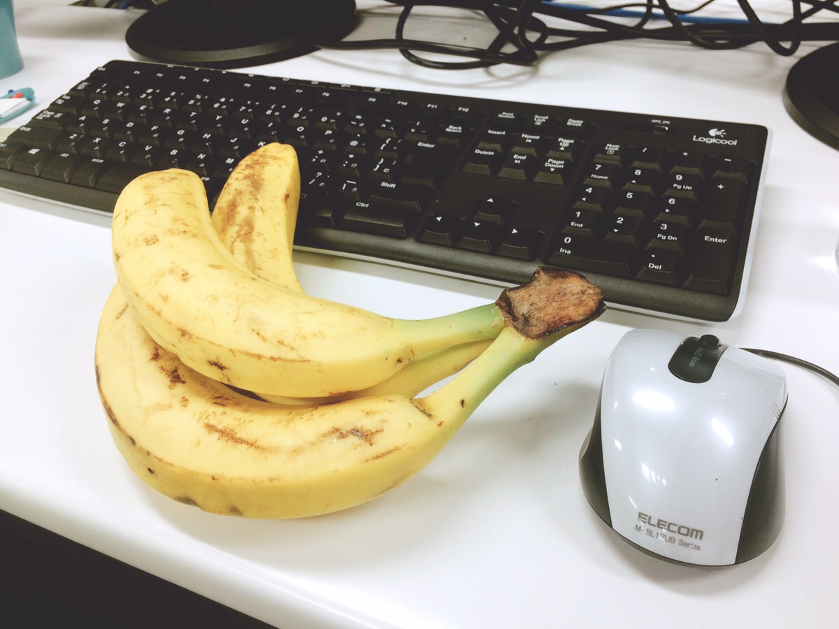 採用奮闘記 人間とバナナのdnaは50 が同じらしい