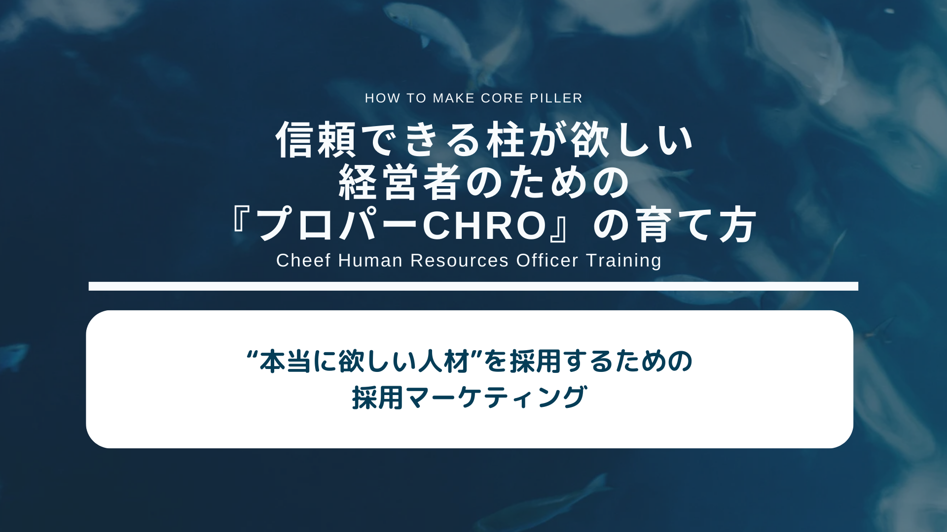 “本当に欲しい人材”を採用するための採用マーケティング～信頼できる柱が欲しい経営者のための『プロパーCHRO』の育て方Vol:13～