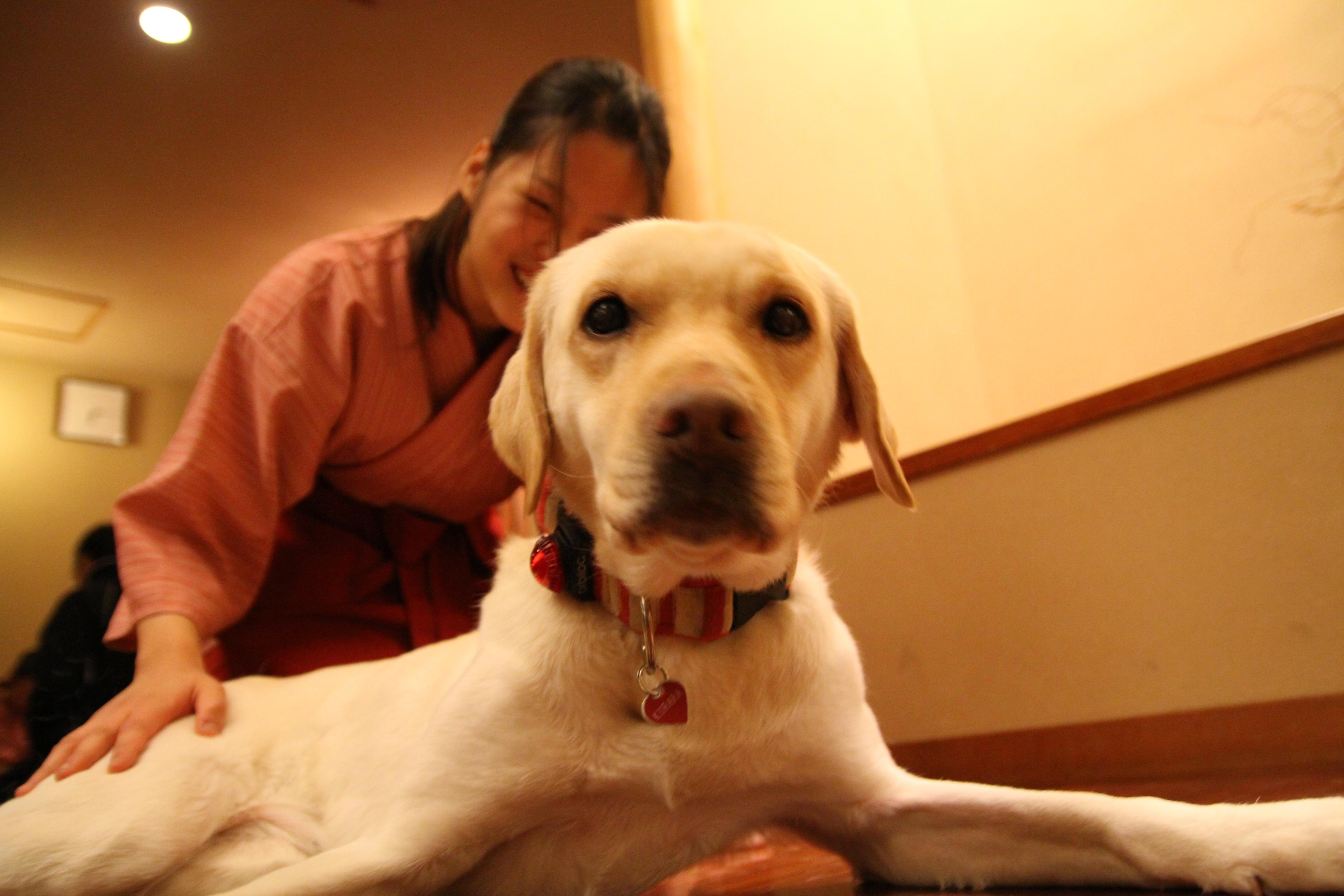 愛犬と一緒に出勤！愛犬同伴出勤WAN LOVE制度！