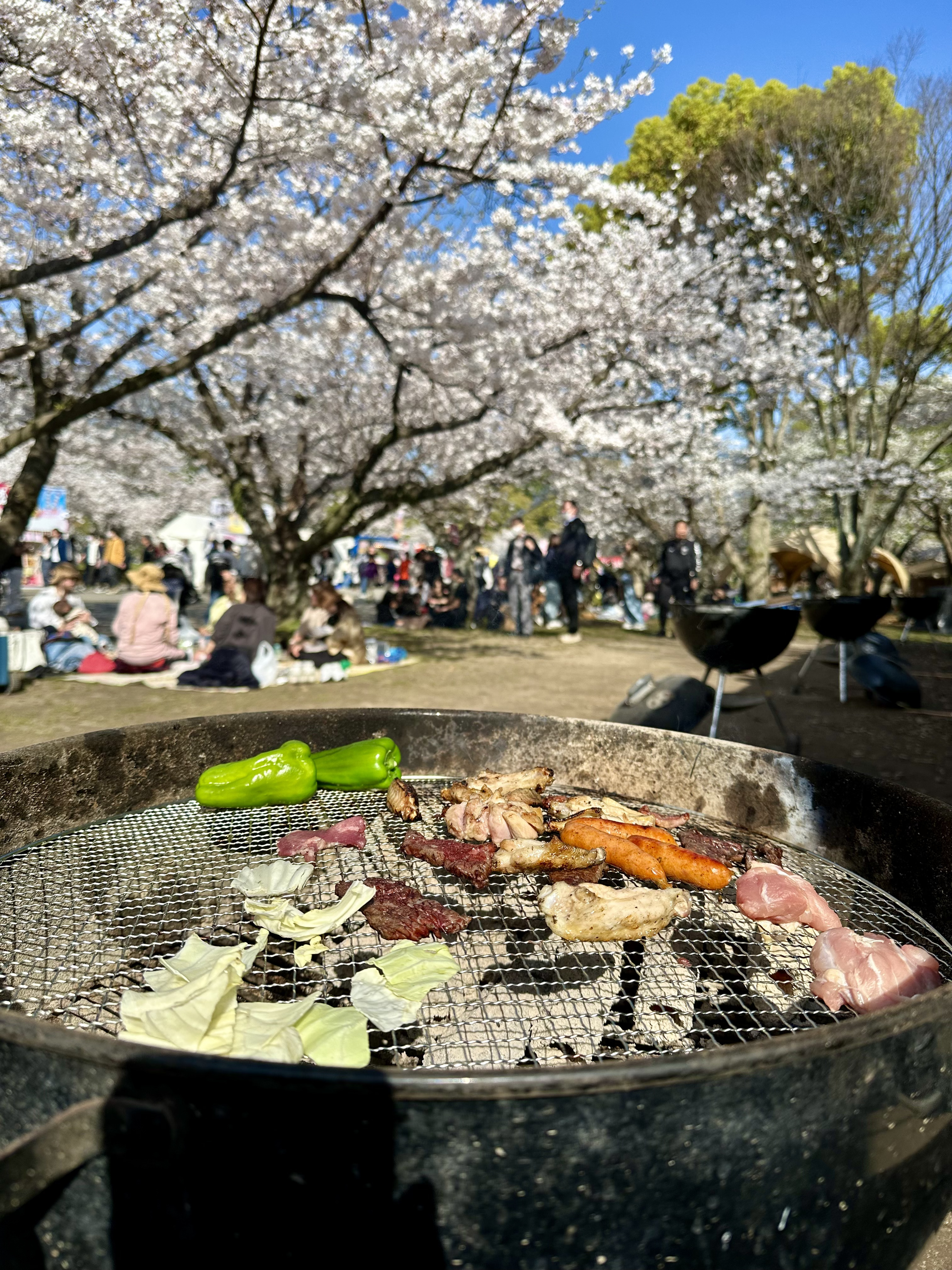 お花見＆BBQ 〜2024〜