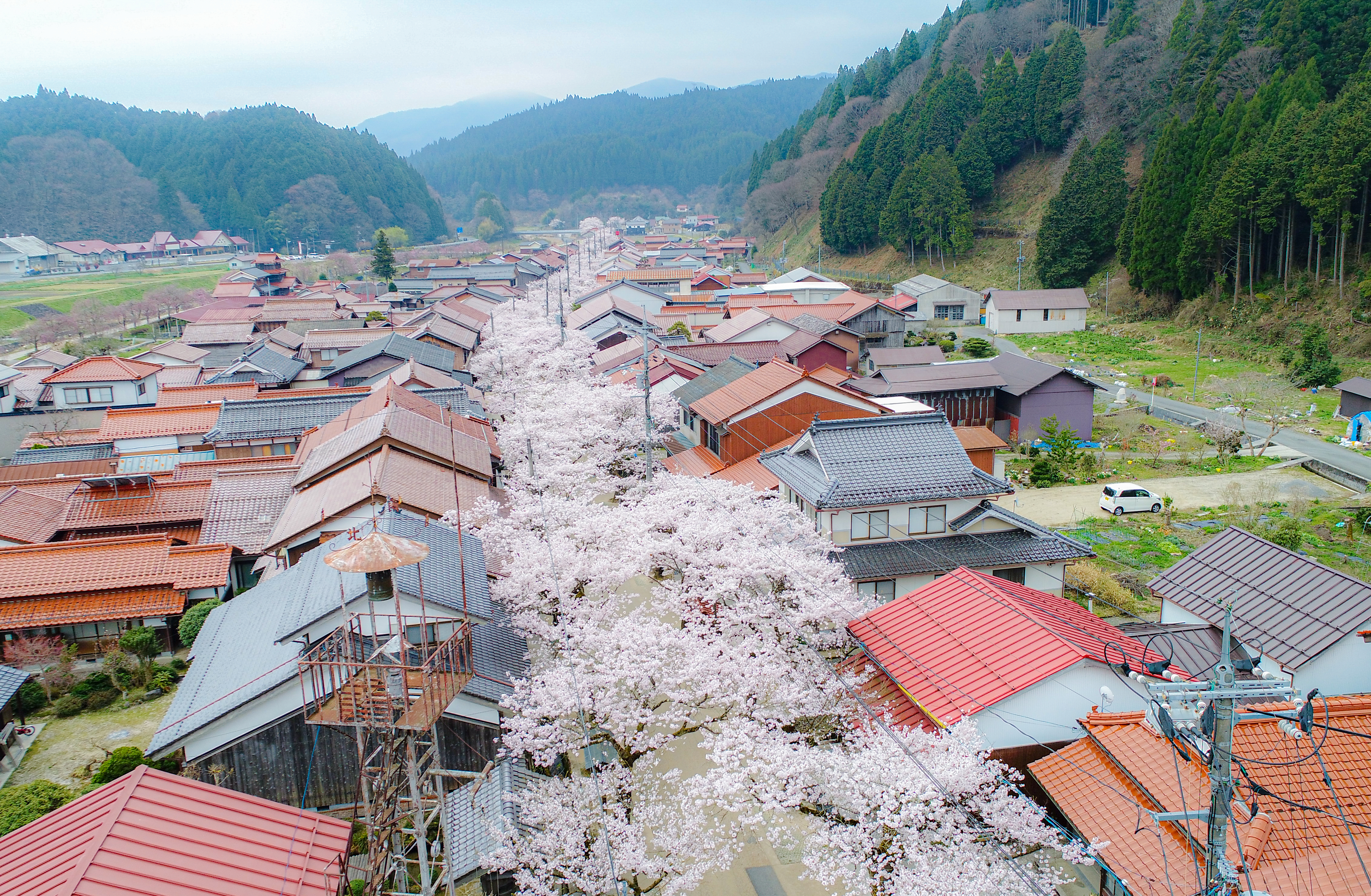 日本で最も美しい村の四季