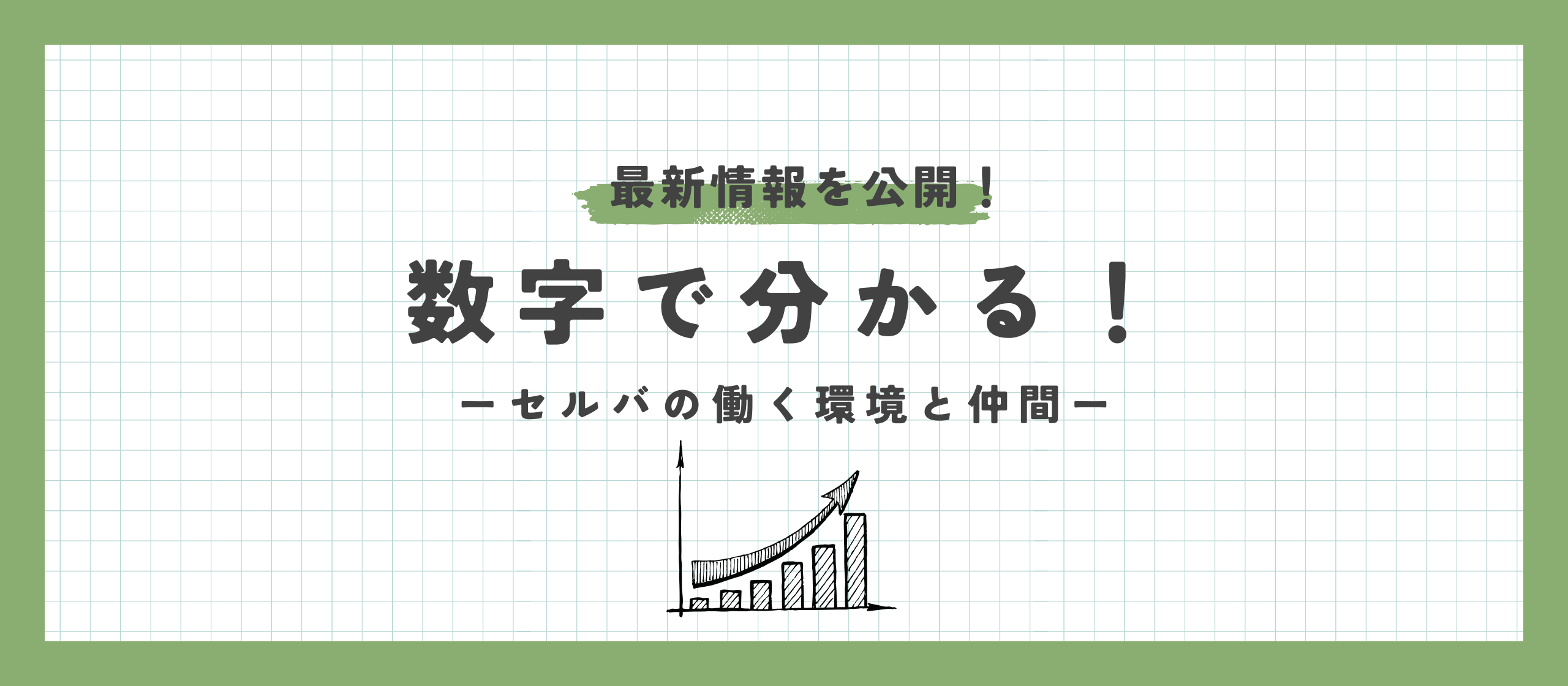 数字で分かる！セルバの働く環境と仲間