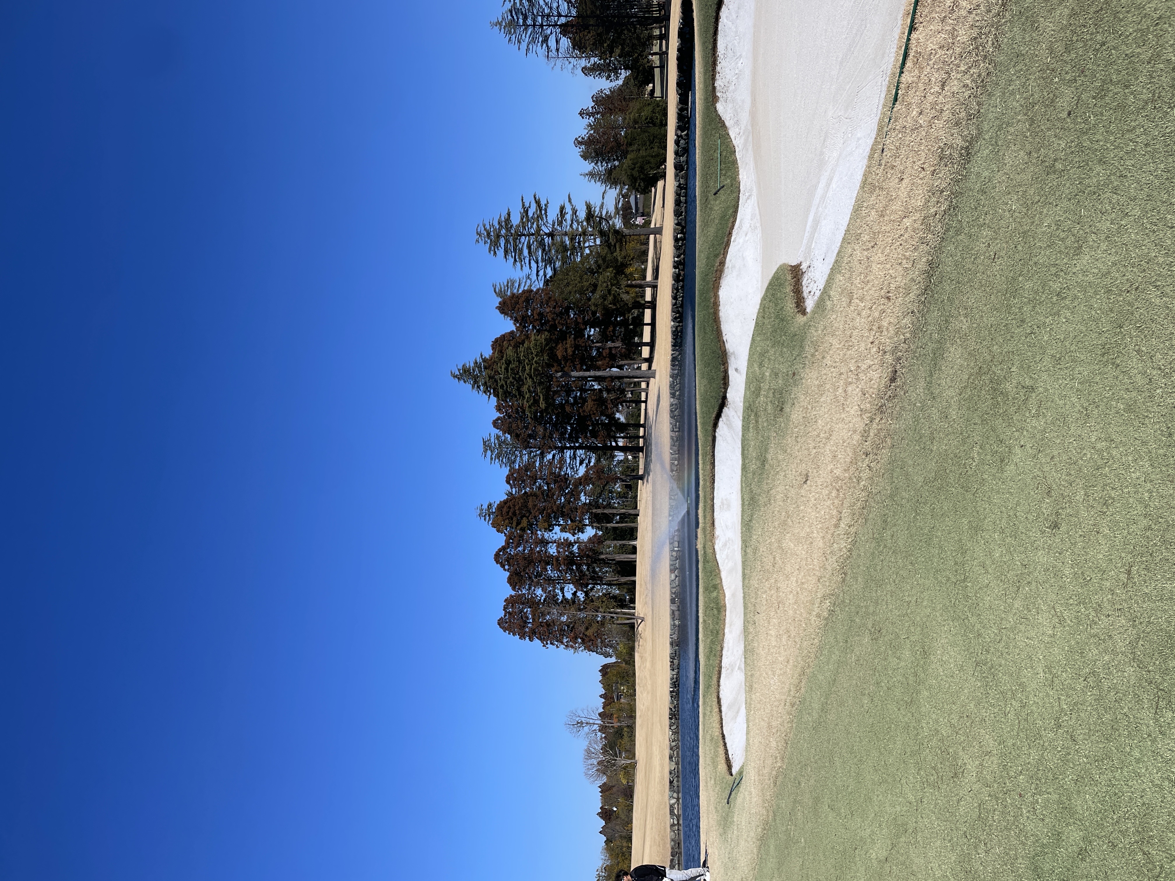 ついに自社コンペを開きます🏌️