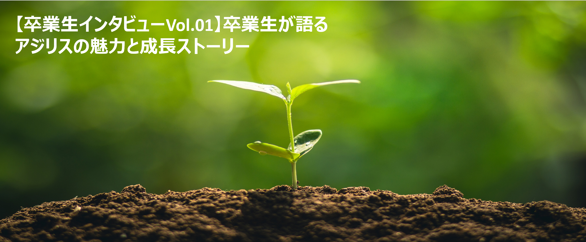 【卒業生インタビューVol.01】卒業生が語るアジリスの魅力と成長ストーリー