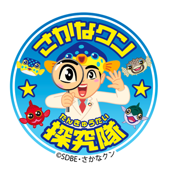 (株) アナン・インターナショナル