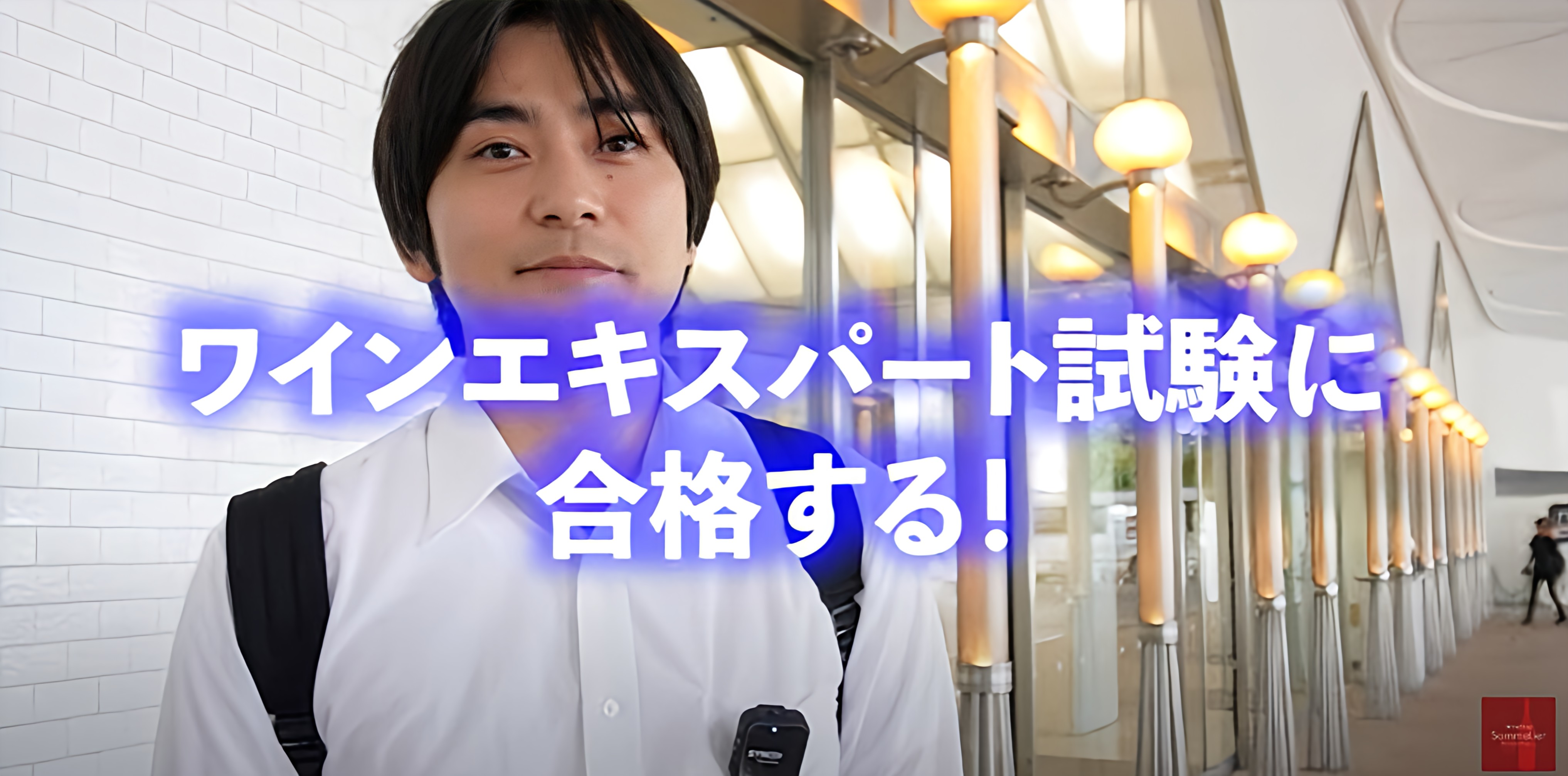 【成長率180％超六本木ワイン企業】イケメン社員が難関ワインエキスパートに挑む！果たして合格なるか？！