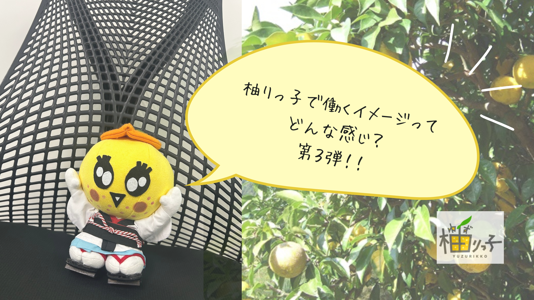 柚りっ子で働くイメージってどんな感じ？～商品開発編～