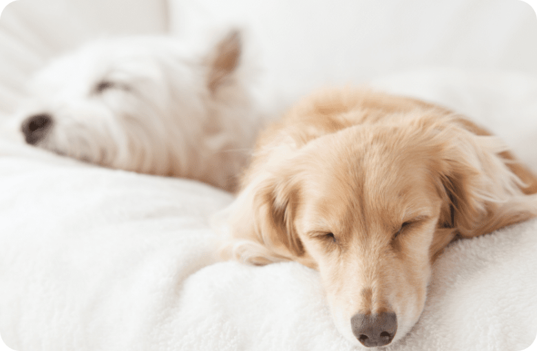 大久保浩之が代表を務めるクーアンドリク（Coo＆RIKU）のコンセプトや安心の理由とは？