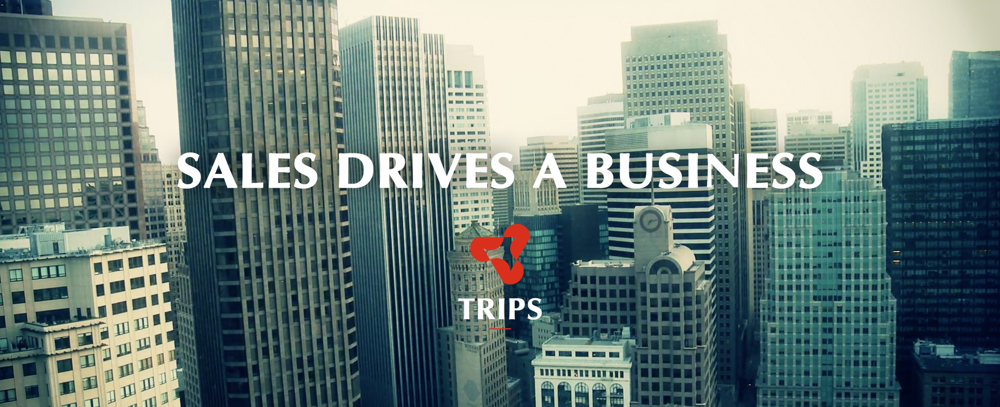 トライプスってどんな会社？聞いてきました！