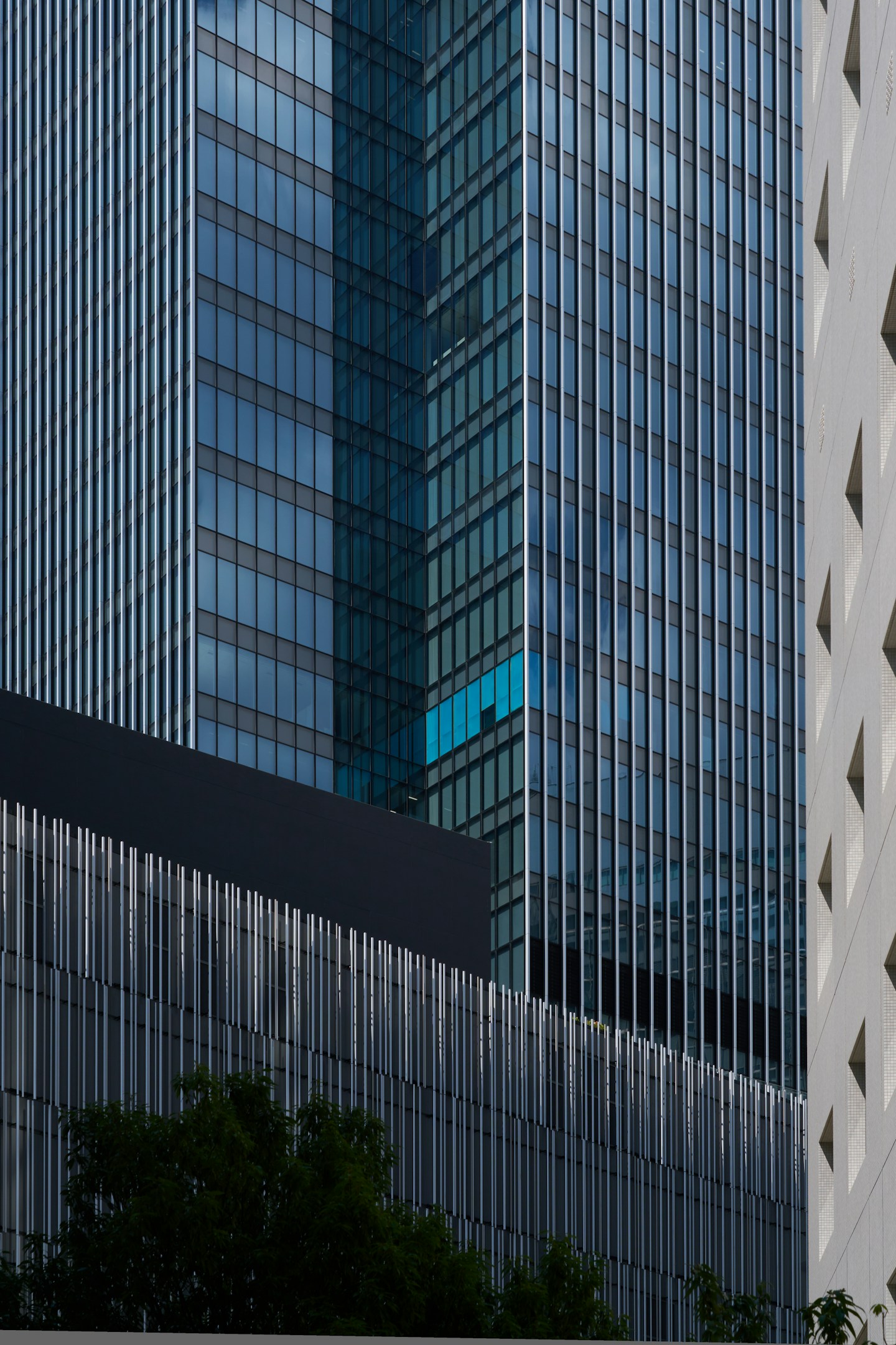 都市を歩き、未来を描く――谷野稜のまちづくりストーリー