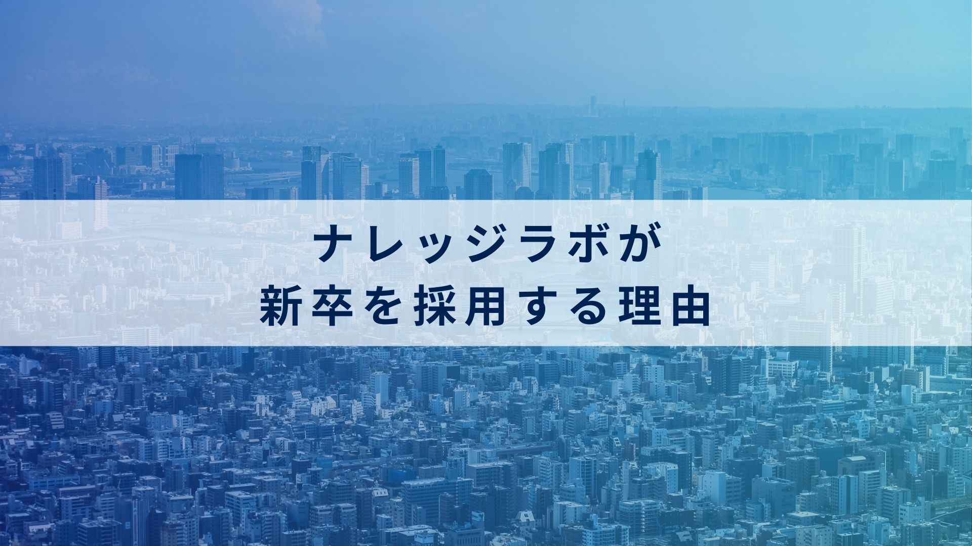 ナレッジラボがなぜ新卒メンバーを採用するのか！？