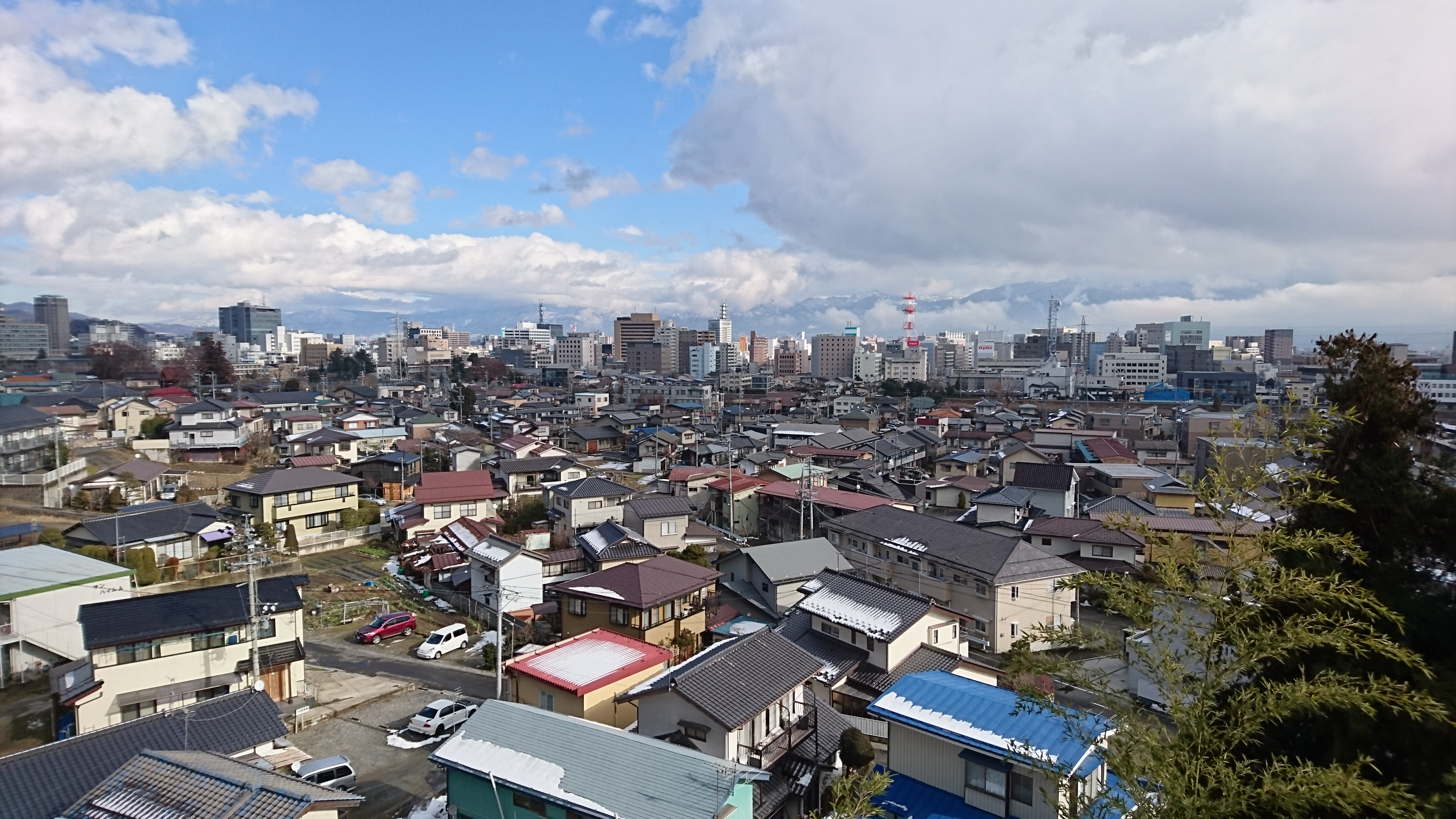 イナゴについて色々