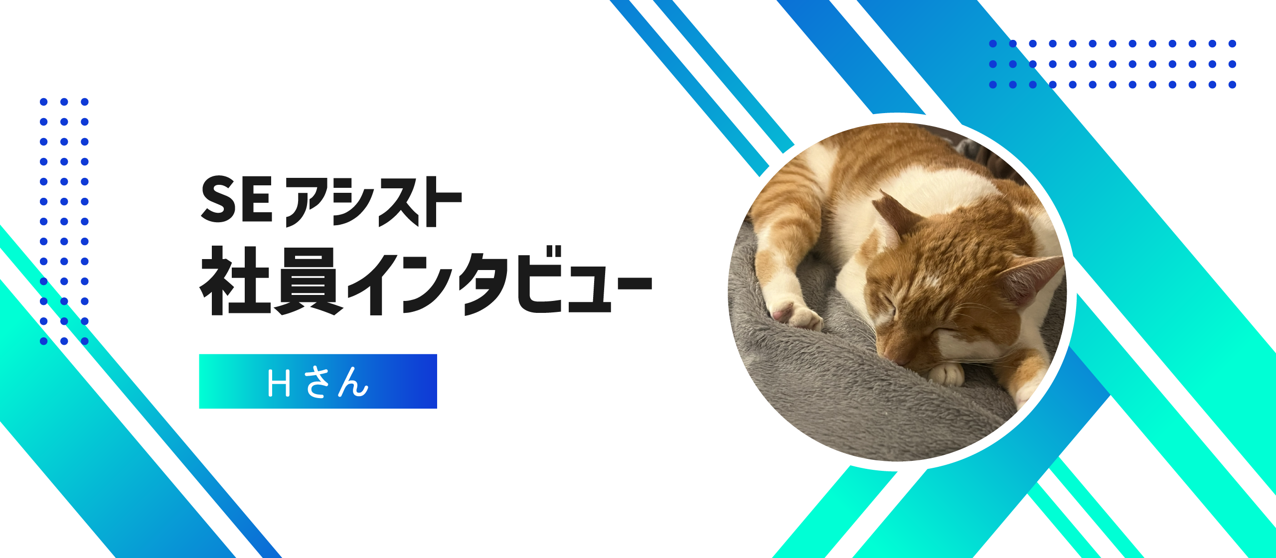 SEアシストの社員にインタビュー！｜Vol.34