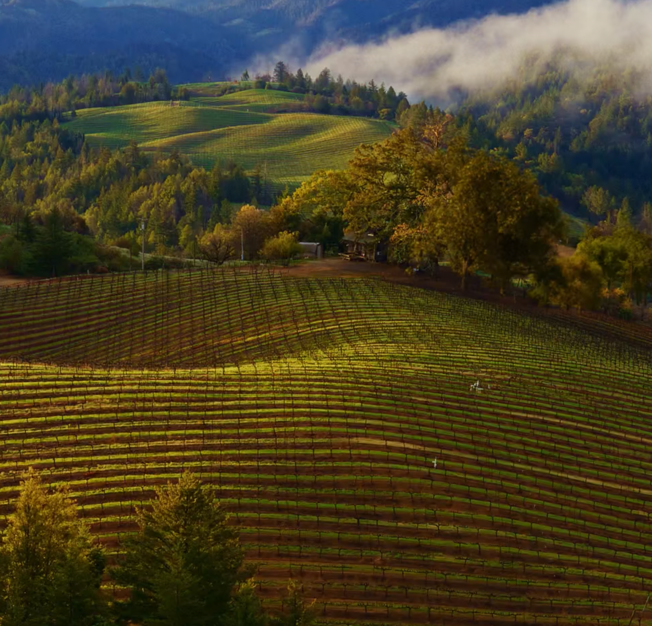 🧠「最近Streamlit触ってるけど、思ったより“作れる感”がすごい」──中野哲平