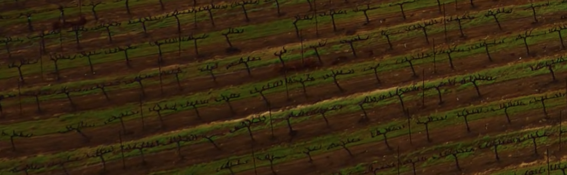 GCPでマイクロサービスをGUIから構築してみた