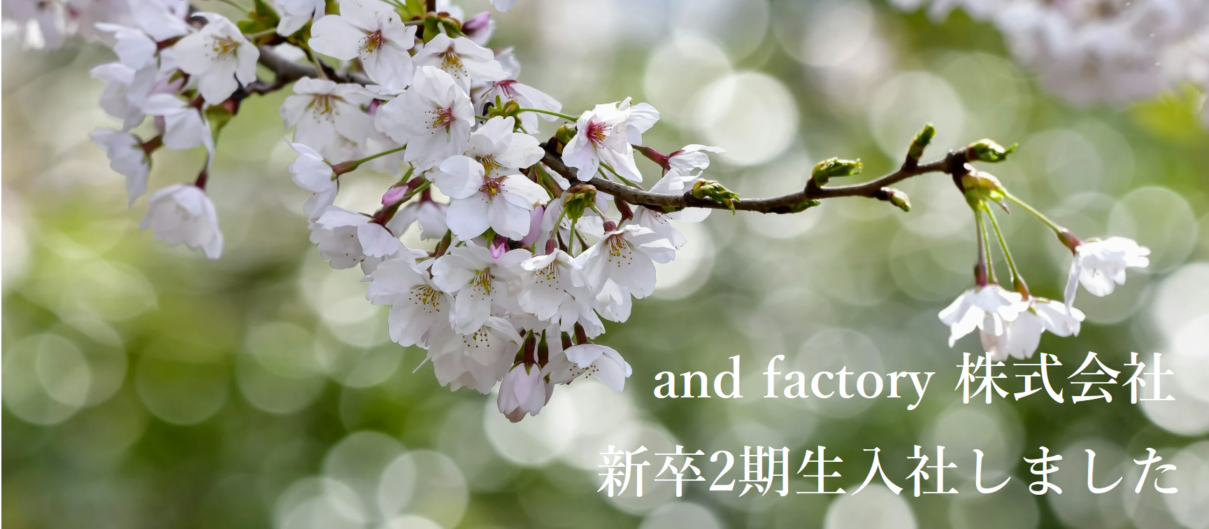 価値観を覚えるのではなく、価値観で動ける人になる　and factory株式会社新卒2期生入社