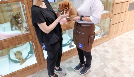 【Q&A形式】クーアンドリク（coo&riku）で働く社員へのインタビュー！