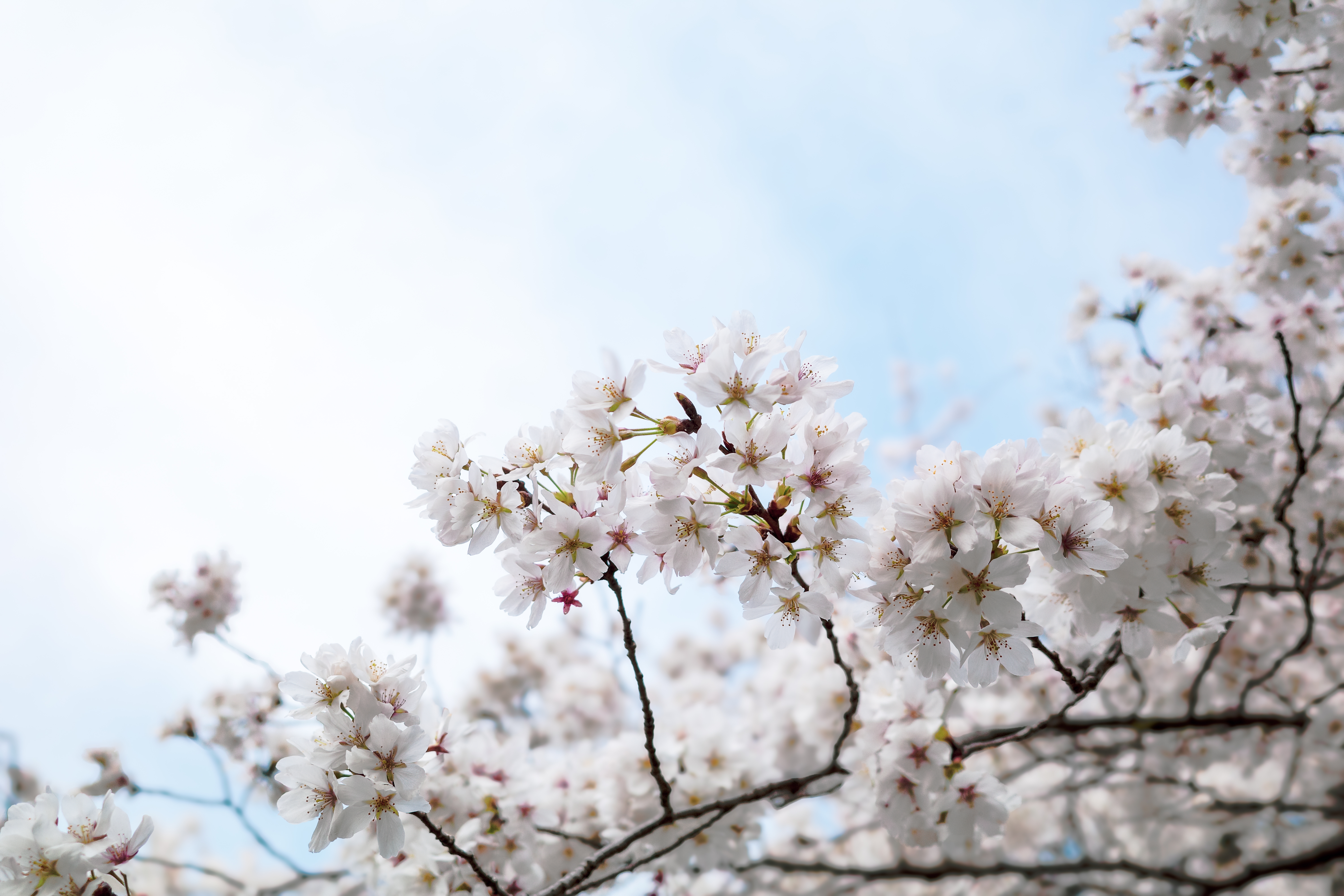 社会人一年目と今の自分を比べてみた