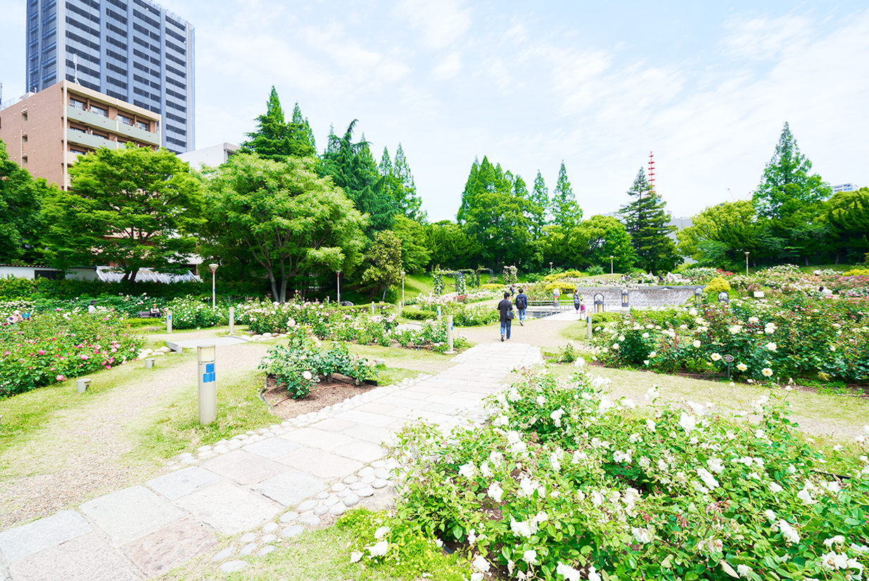 デザイン会社密集エリア・大阪京町堀のいいところ勝手にベスト３