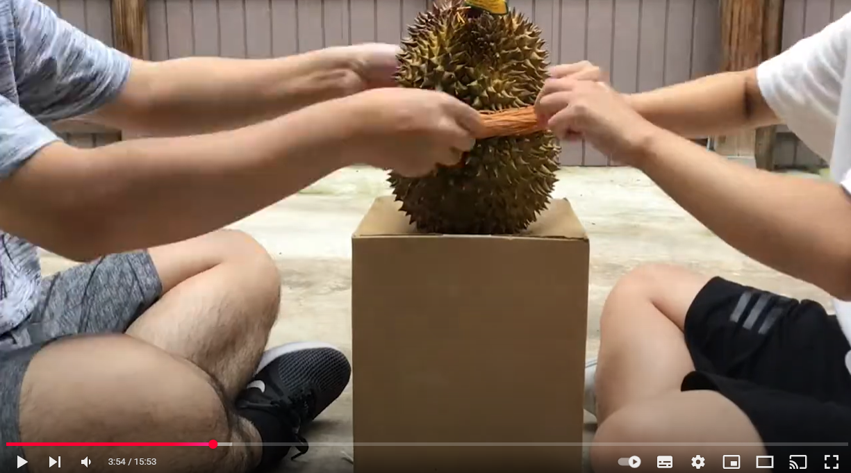 起業の理由 | その１ 会社って色んなグレーがあるんだなぁ～と知った20代前半