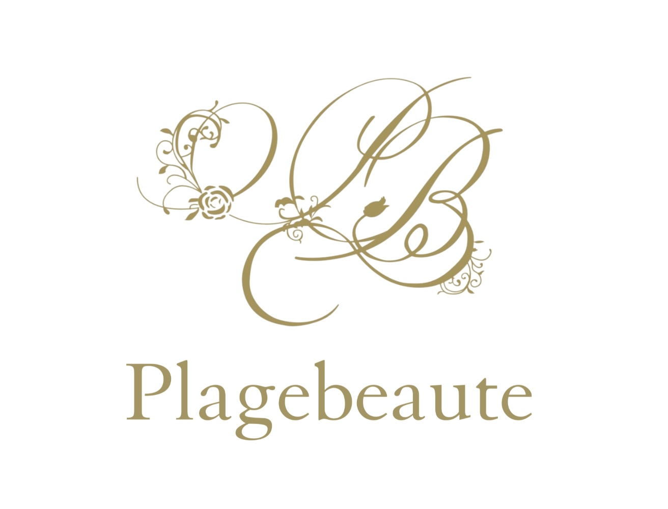 株式会社プラージュボーテ