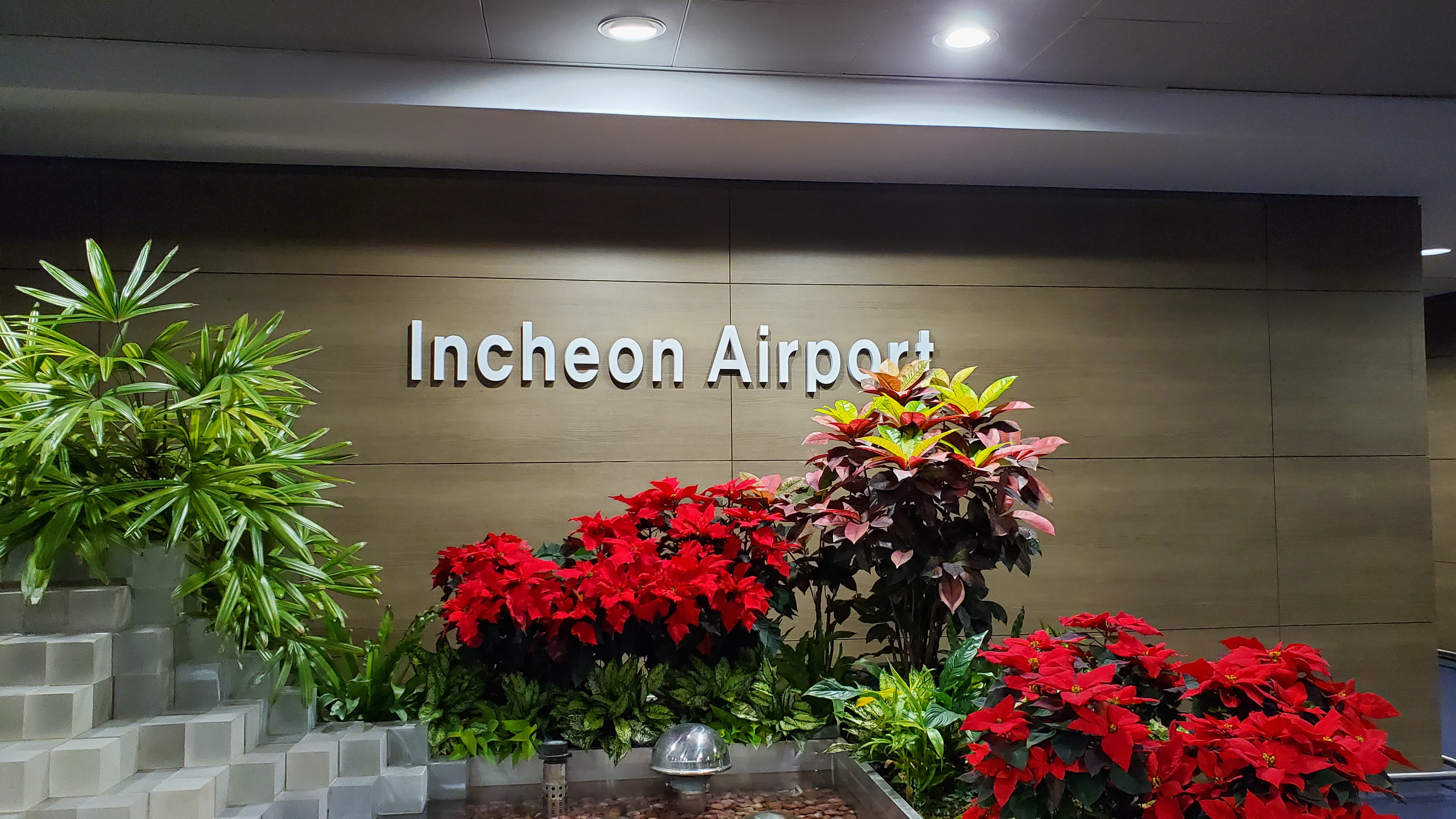 【韓国本社を初訪問】