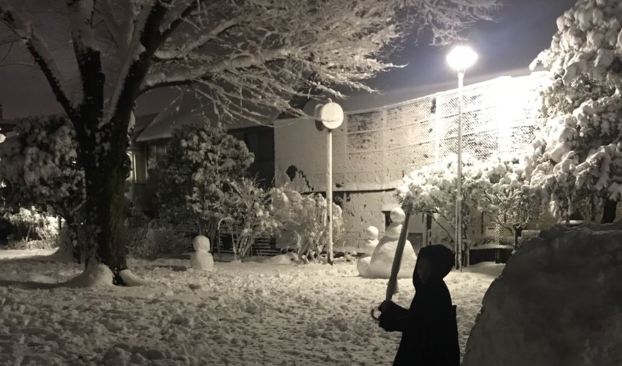 ある、雪の日の出来事。。。