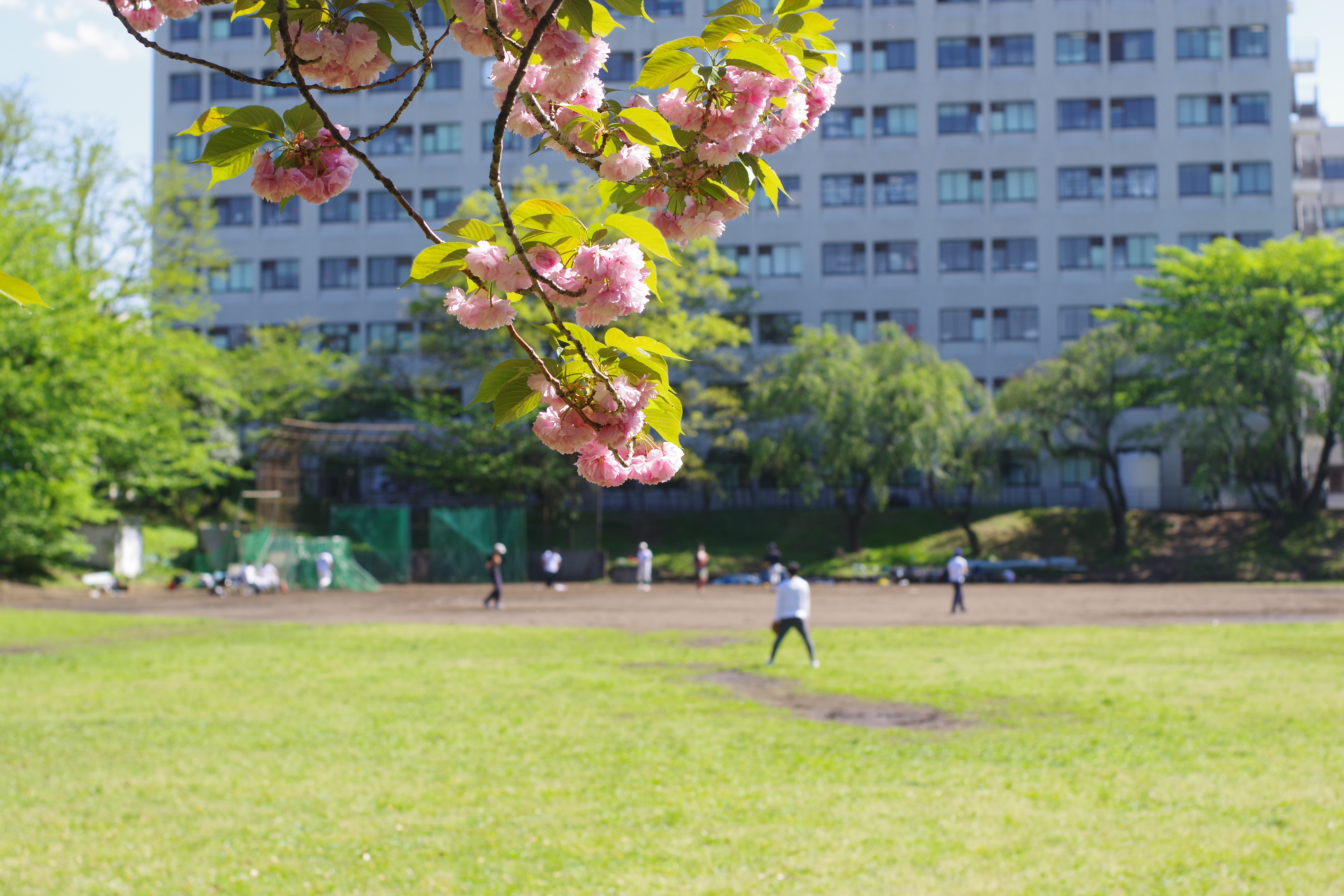 初めての投稿