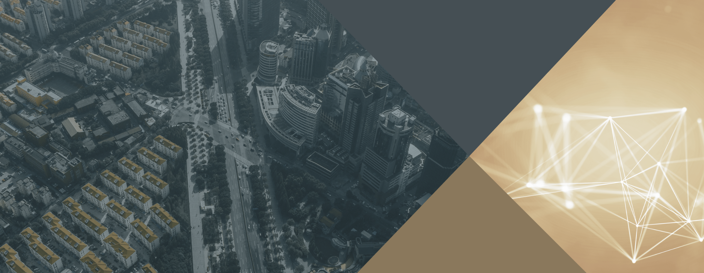 【社員インタビュー】つくる楽しさを、社会の価値に。XAI創業メンバーが語る“実践するAI開発”