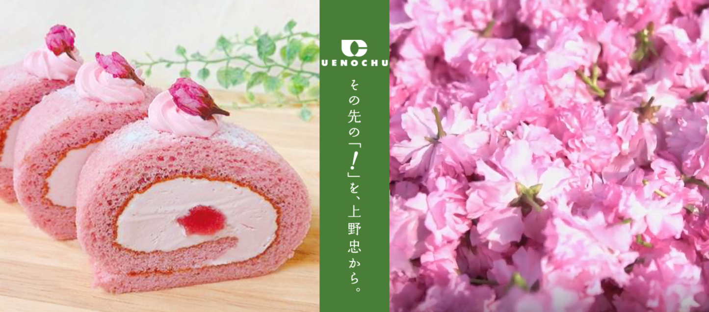 見るだけじゃない！？さくらの効果と秘密【上野忠を知る】