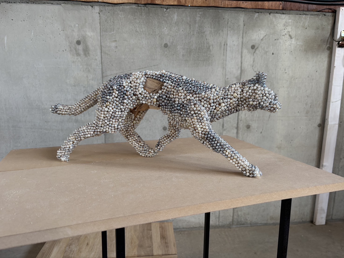 【自然×アート×真珠】“ありのまま”を愛するアートプロジェクト、第四弾始動！