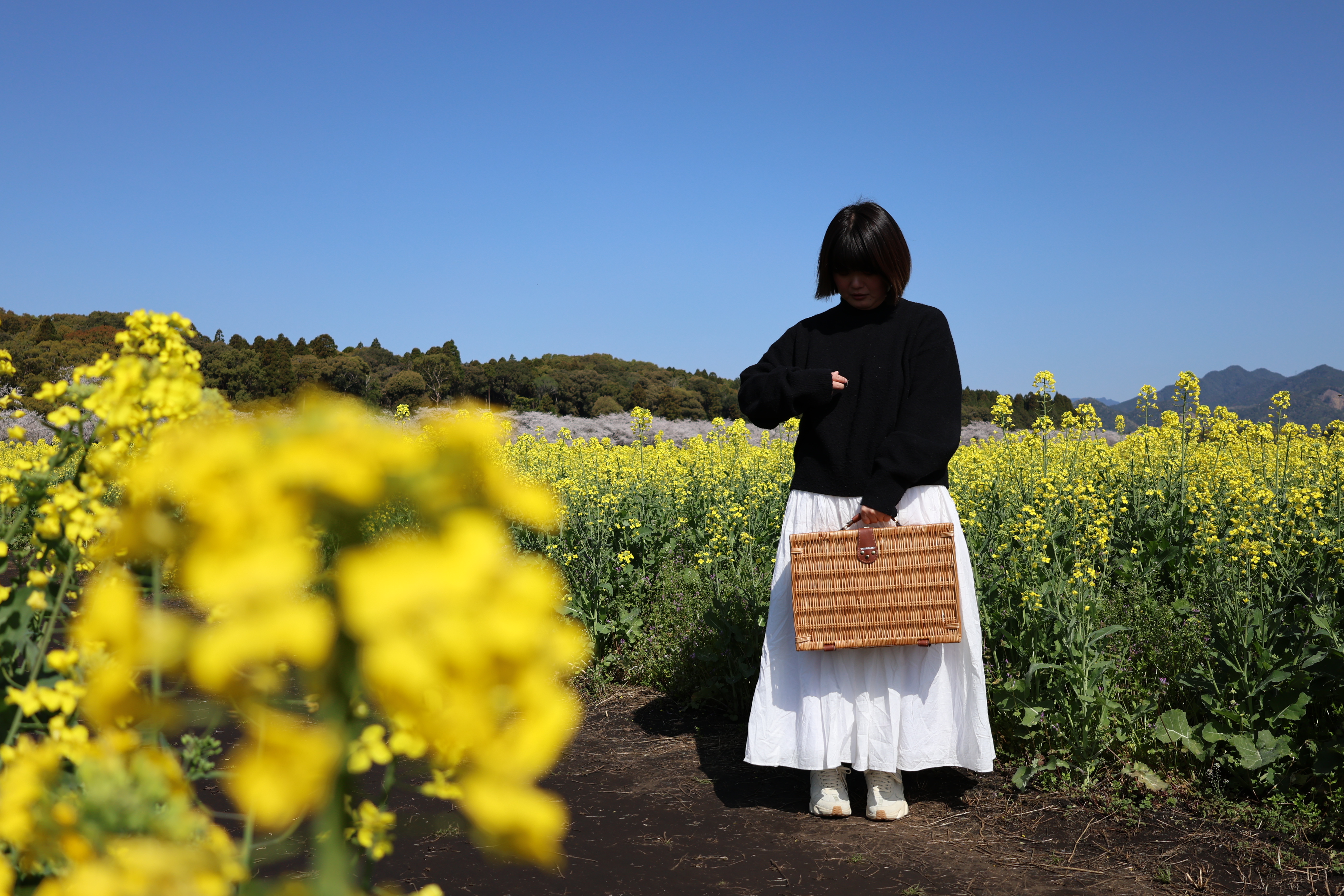 「どこで」より「何を」を基準に考える、私のワーキングライフ