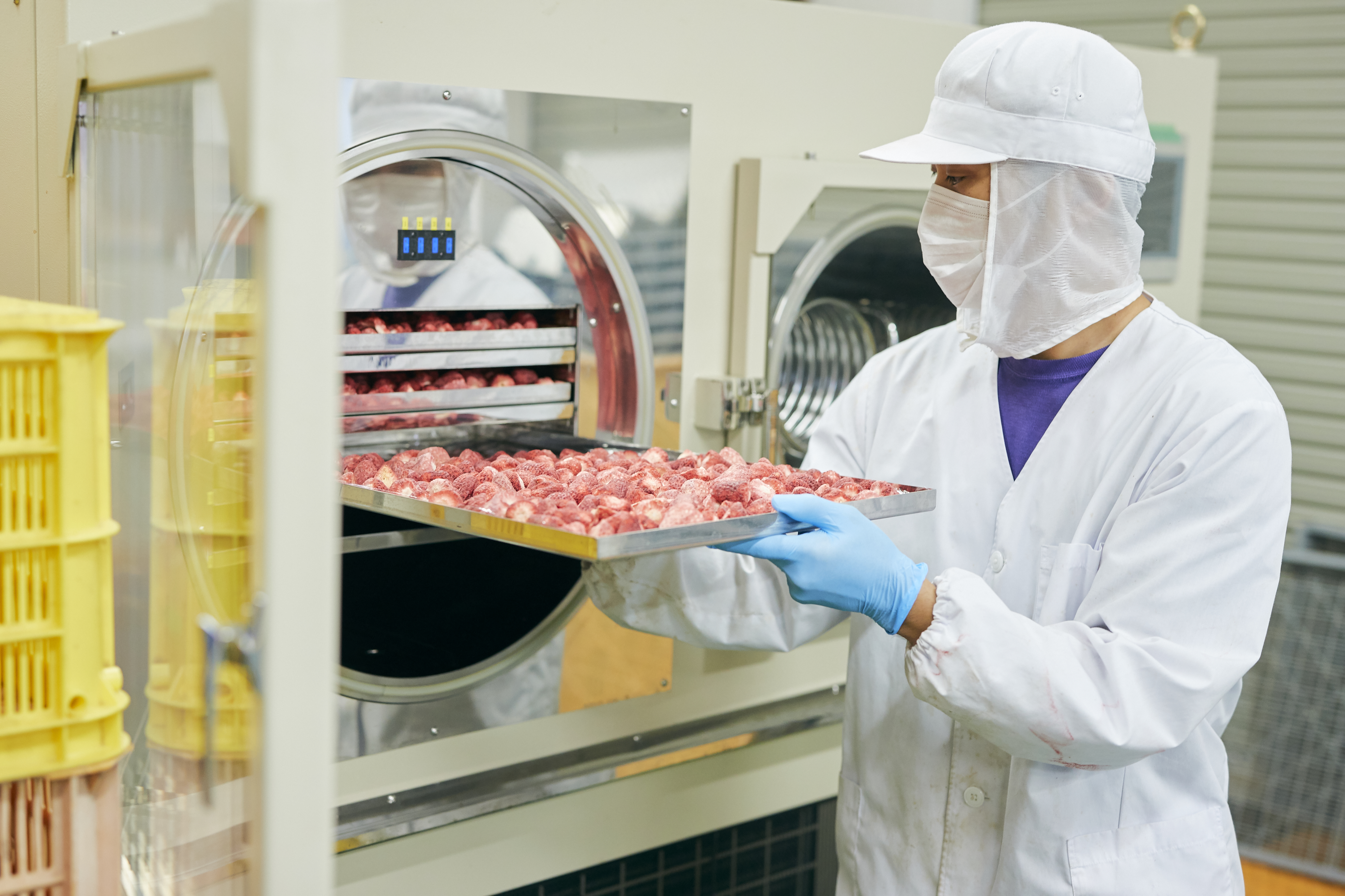 堀内果実園の二次産業・加工業務についてご紹介！