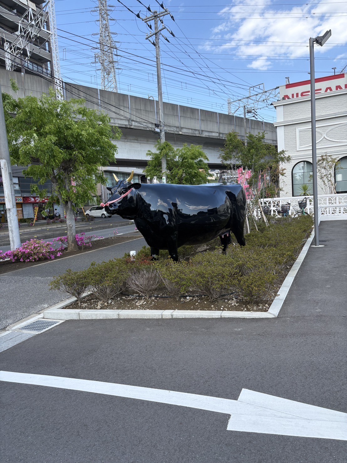 社員blogVol.75「高級焼肉で祝う、家族の成長と財布の限界」