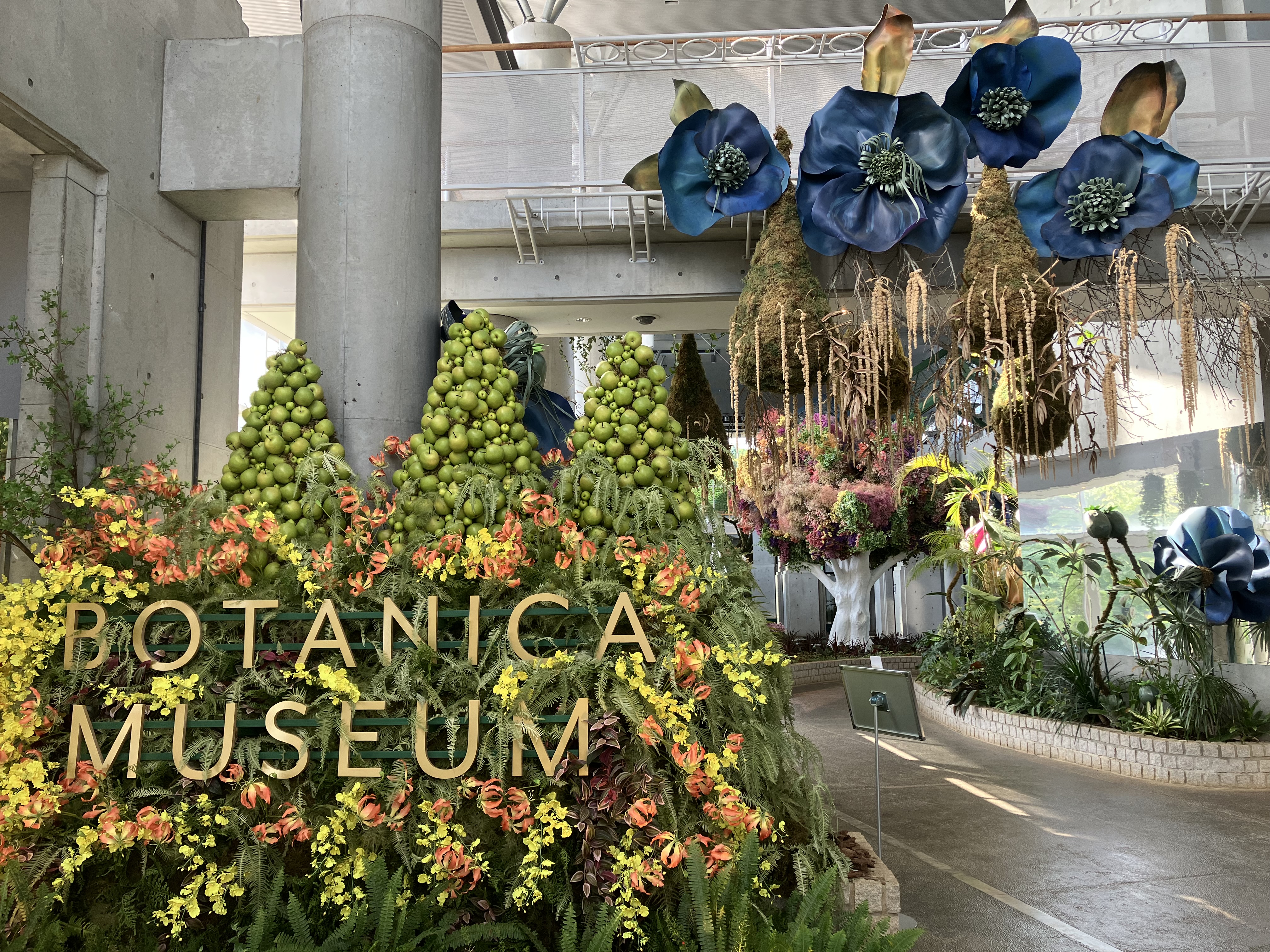 BOTANICA MUSEUM🌸リニューアルオープン！
